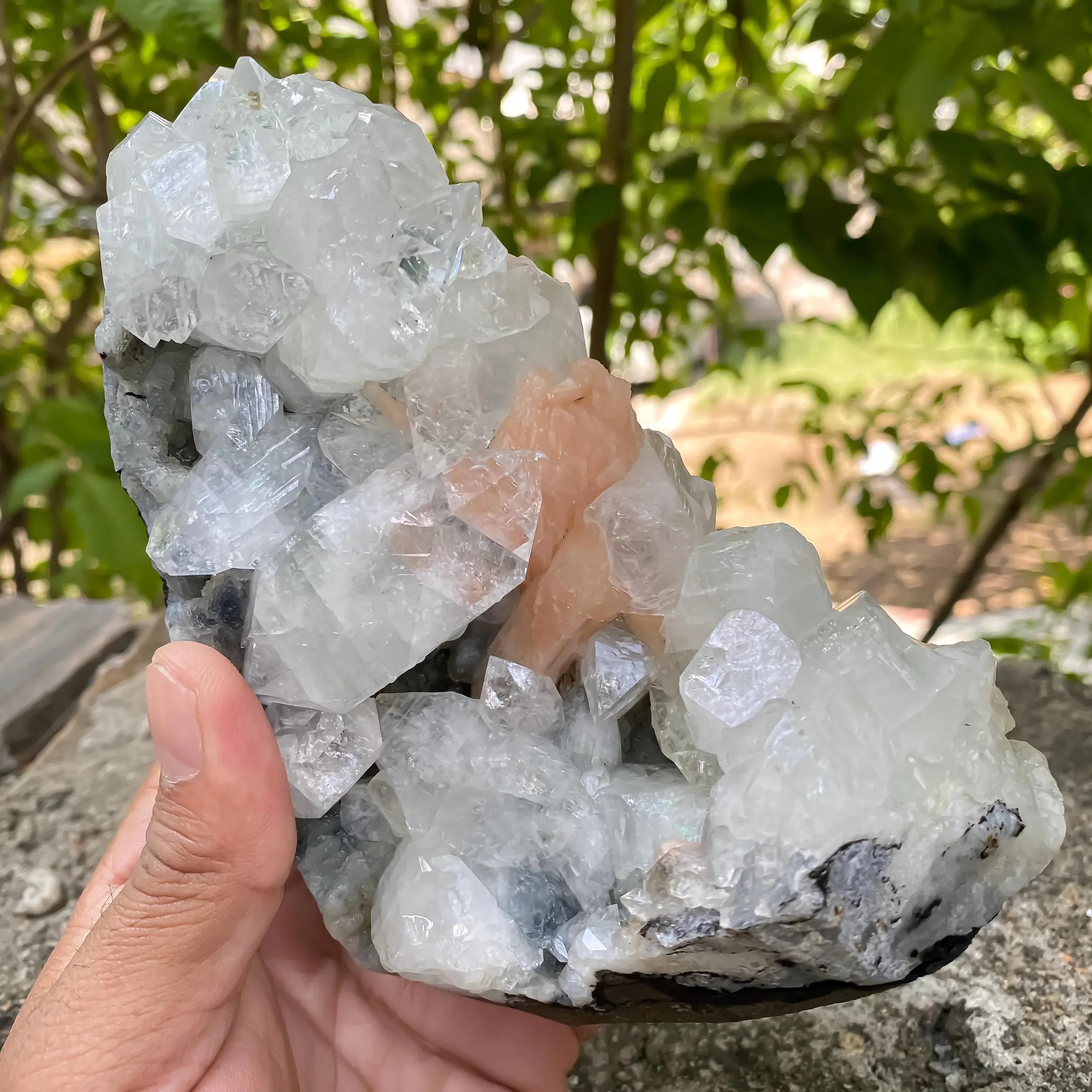 Apophyllite Cluster Geode Natural Sparkling Crystal Points, Healing Mineral Specimen, Reiki Stone Rough Zeolite