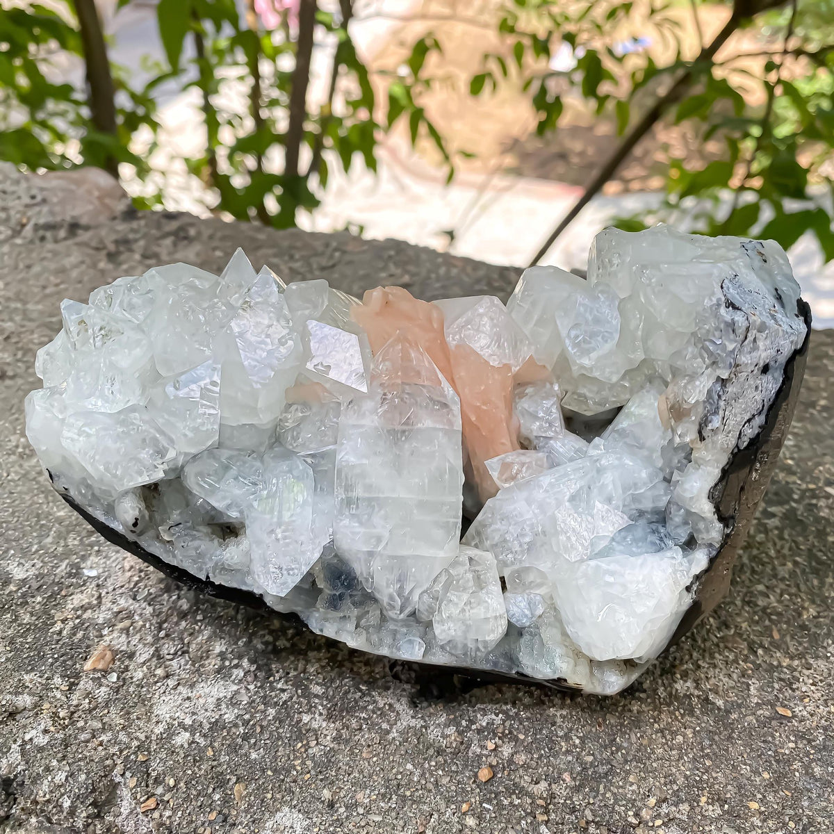Apophyllite Cluster Geode Natural Sparkling Crystal Points, Healing Mineral Specimen, Reiki Stone Rough Zeolite