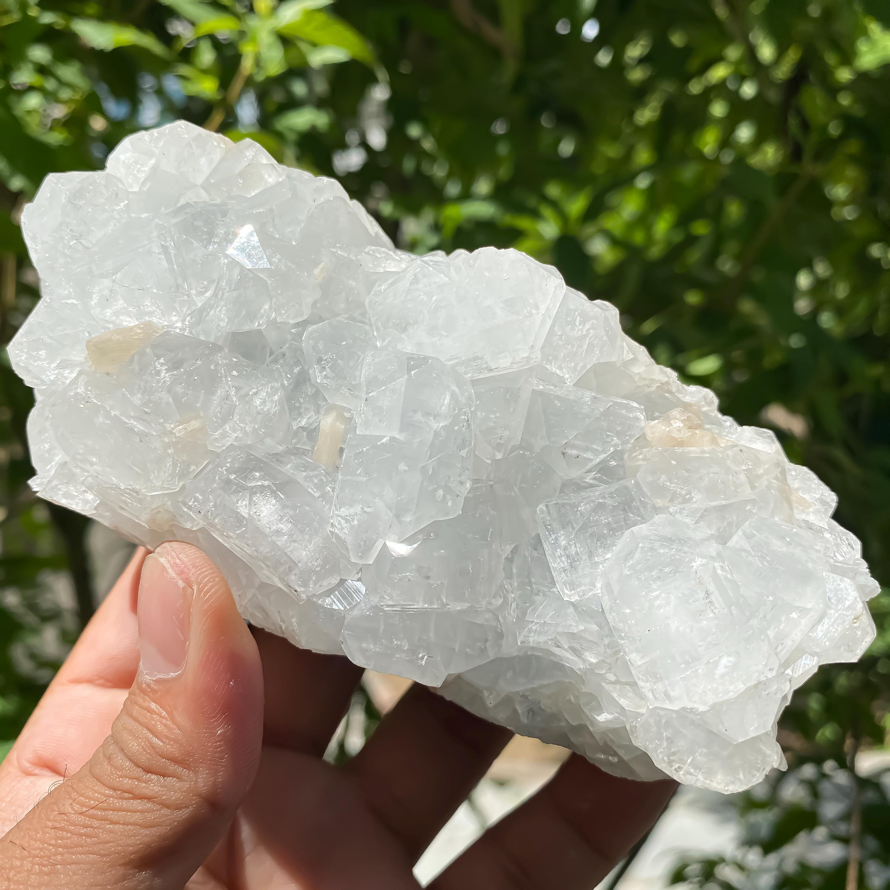 Natural White Apophyllite Crystal Cluster: Reiki Healing Stone 600gm