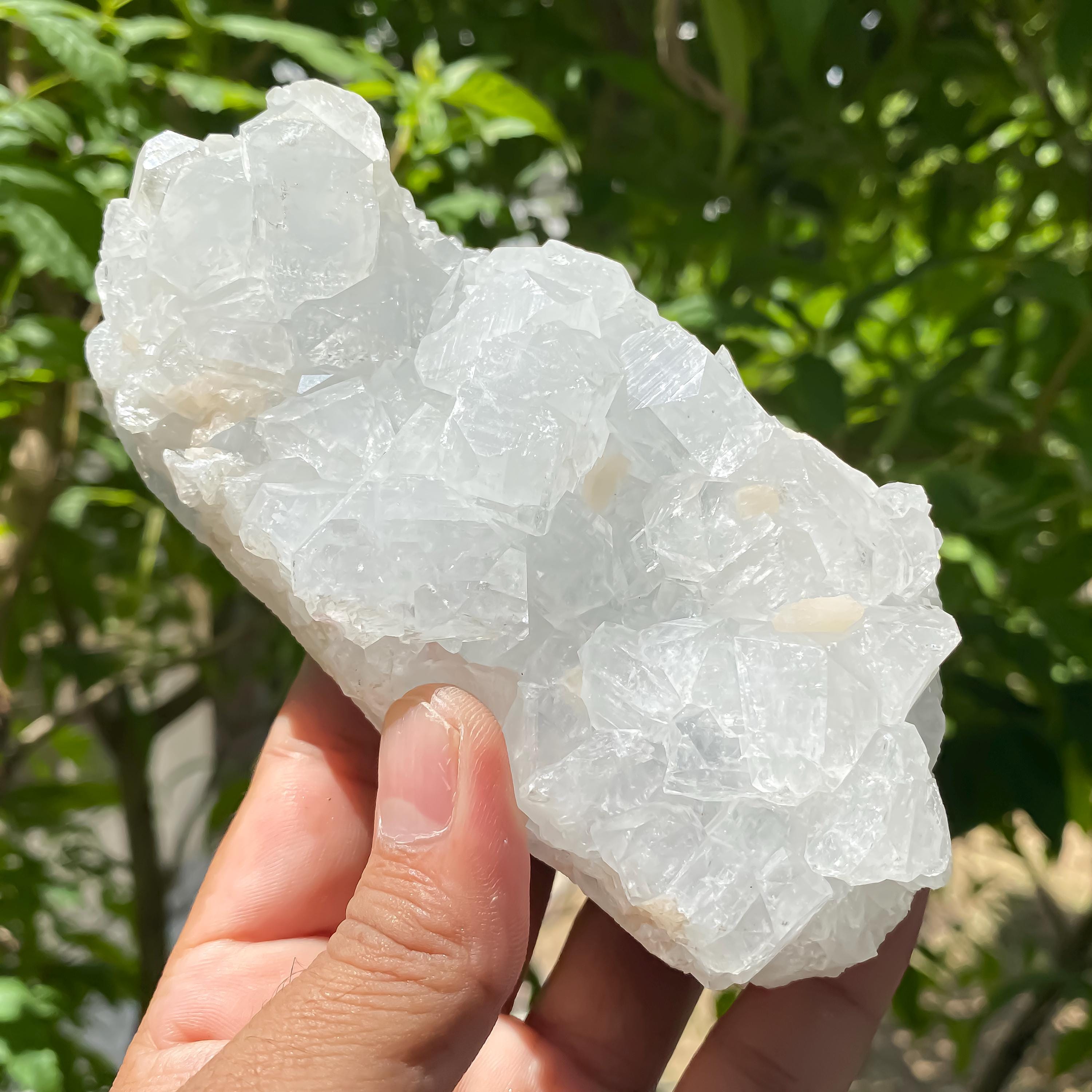 Natural White Apophyllite Crystal Cluster: Reiki Healing Stone 600gm