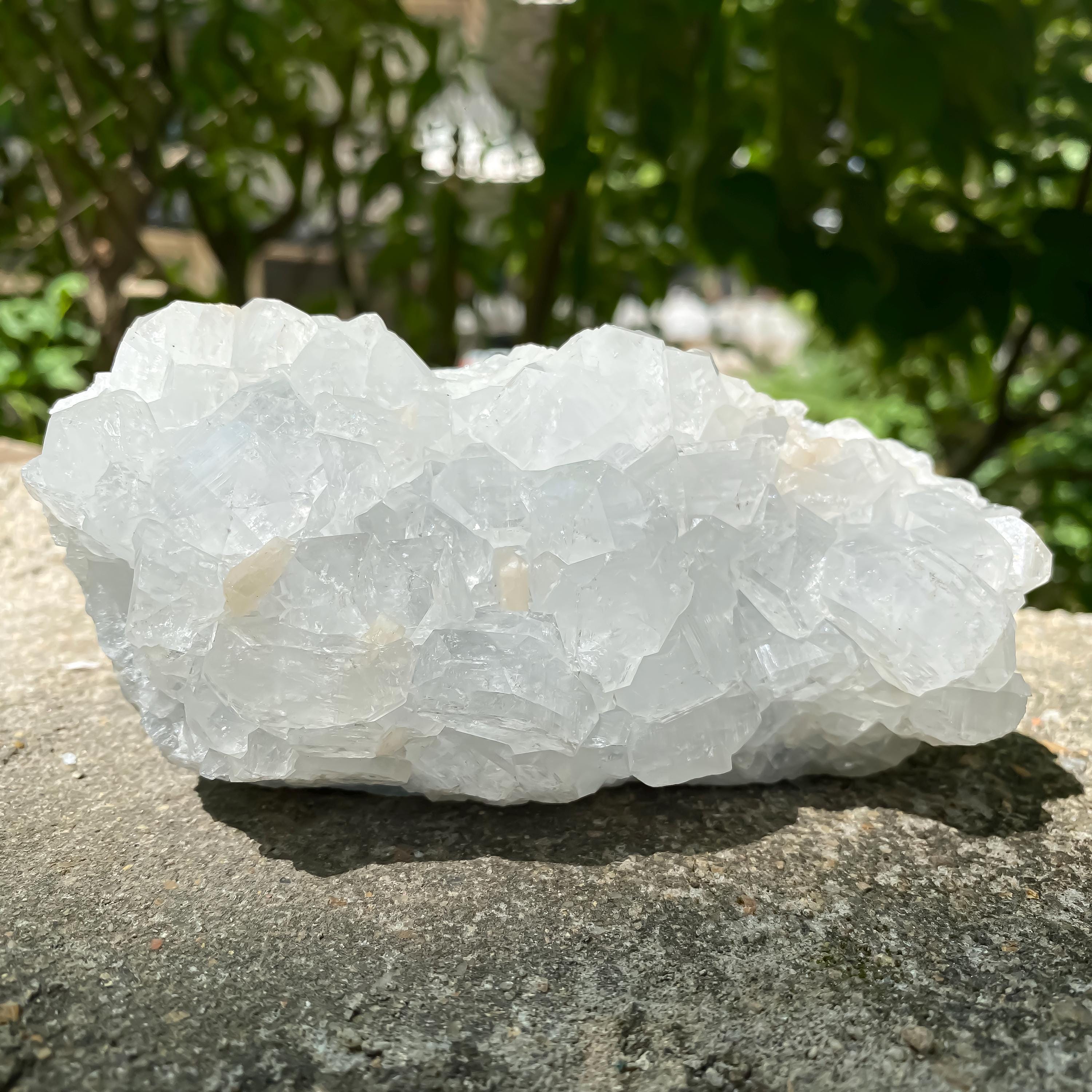Natural White Apophyllite Crystal Cluster: Reiki Healing Stone 600gm