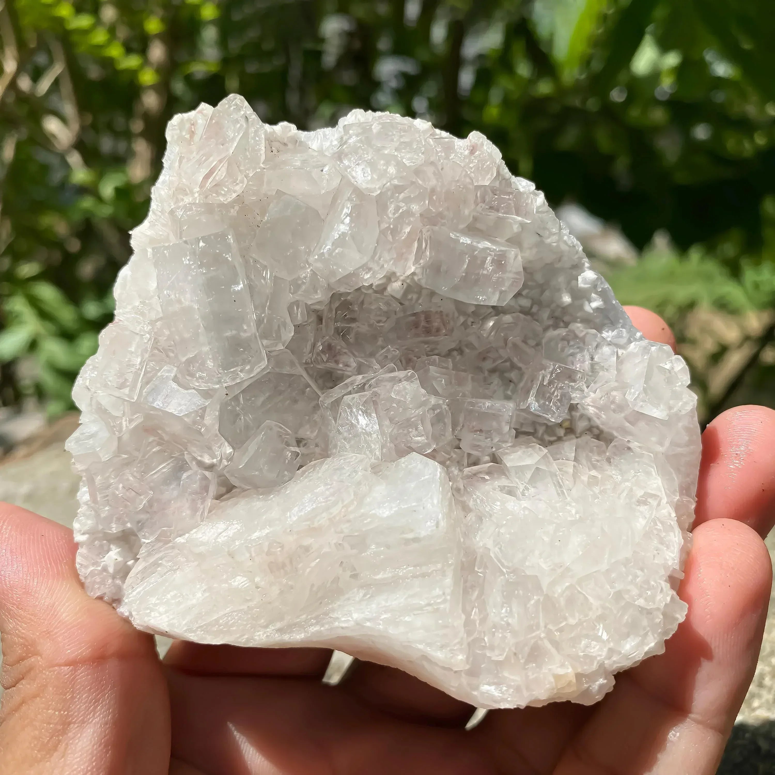 Apophyllite Zeolite Cluster: Meditation Decor Rough 225gm Zeolite