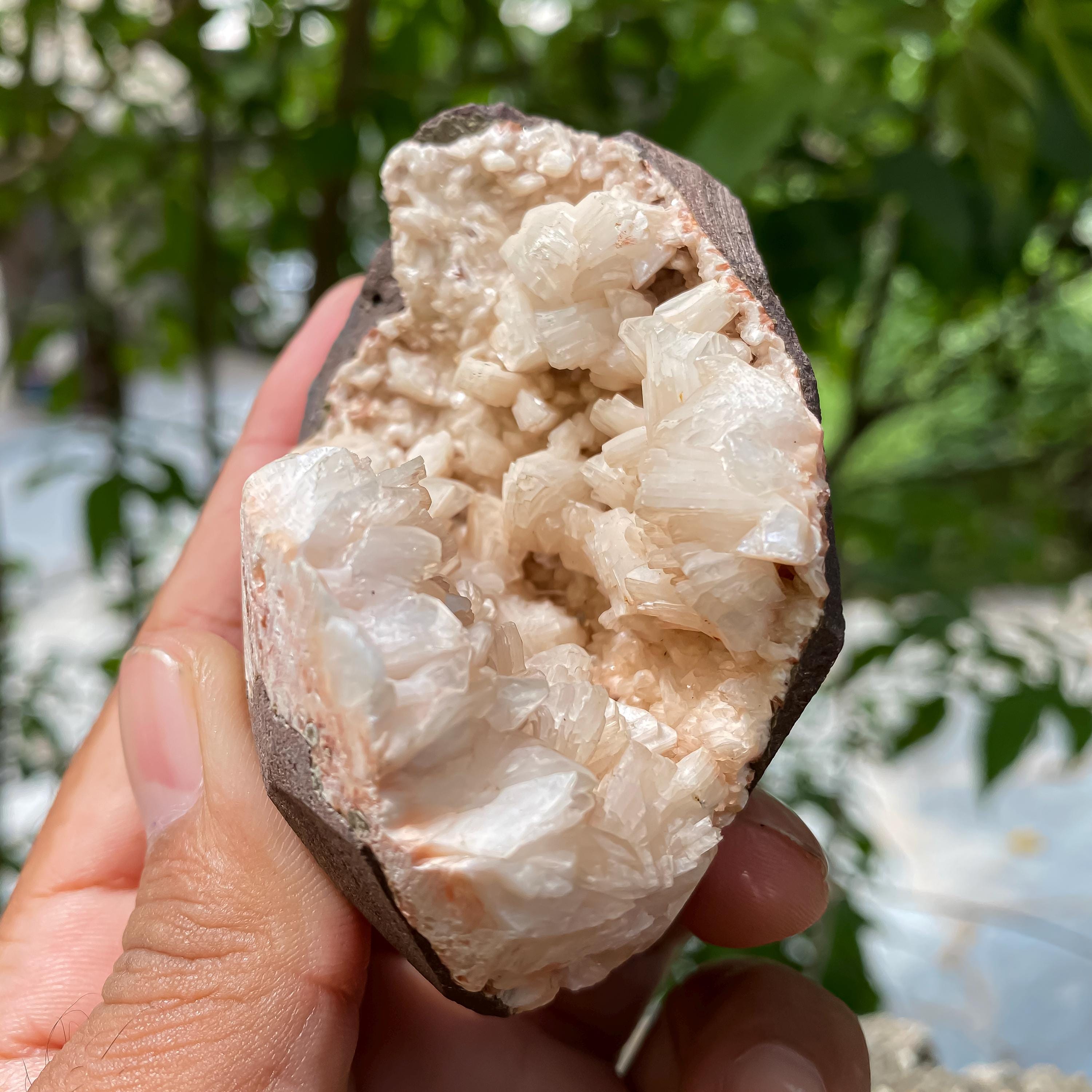 Stillbite Apophyllite Geode Rough - Raw Crystal Cluster for Healing, Energy Work & Spiritual Decor 170gm