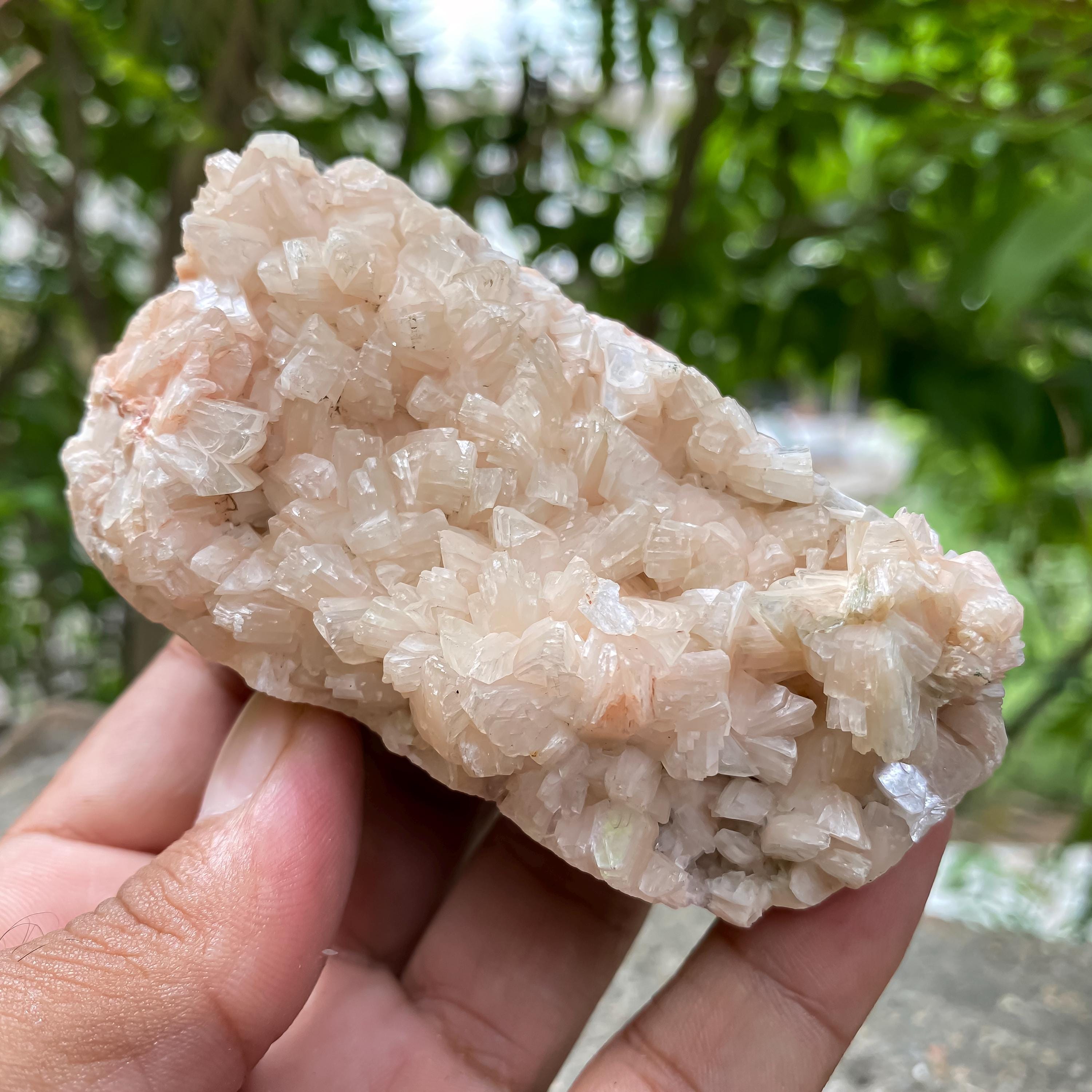 Standing Stilbite Apophyllite Specimen: Natural India Mineral Collection Rough 205gm