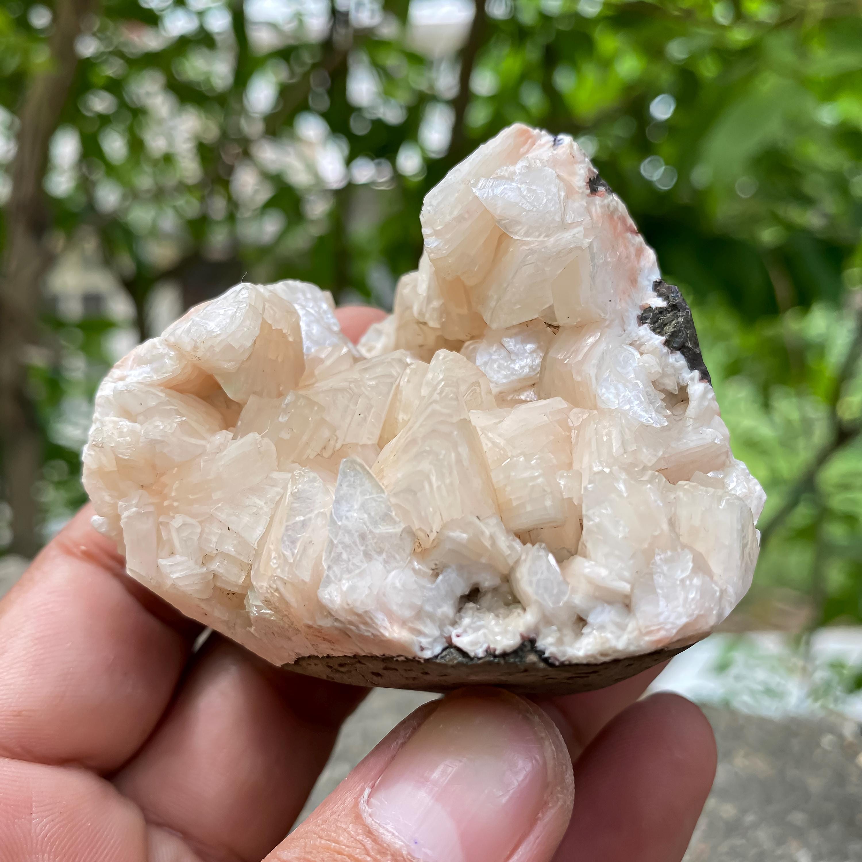Peach Stilbite Apophyllite Cluster  Healing Crystal Geode 155gm