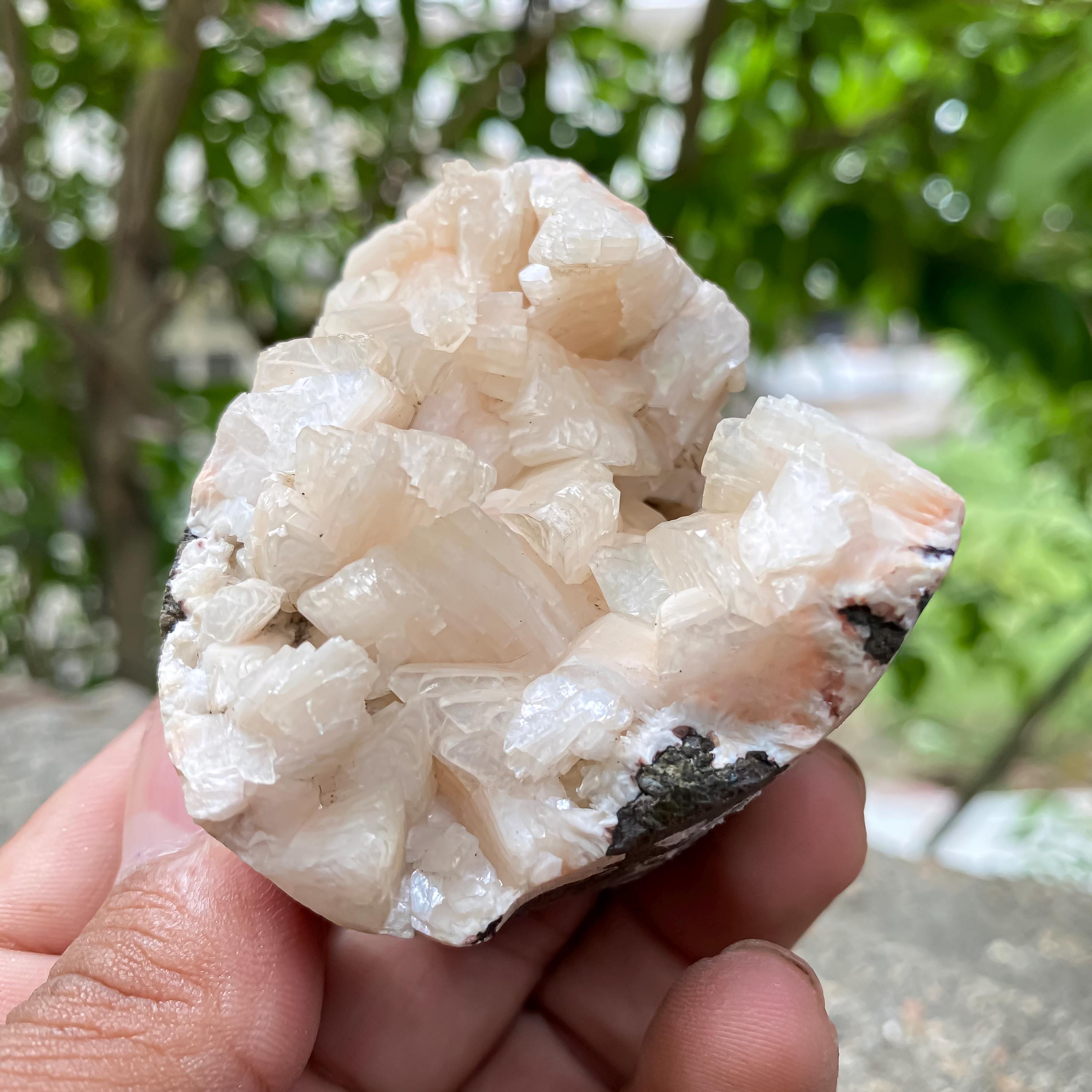 Peach Stilbite Apophyllite Cluster  Healing Crystal Geode 155gm