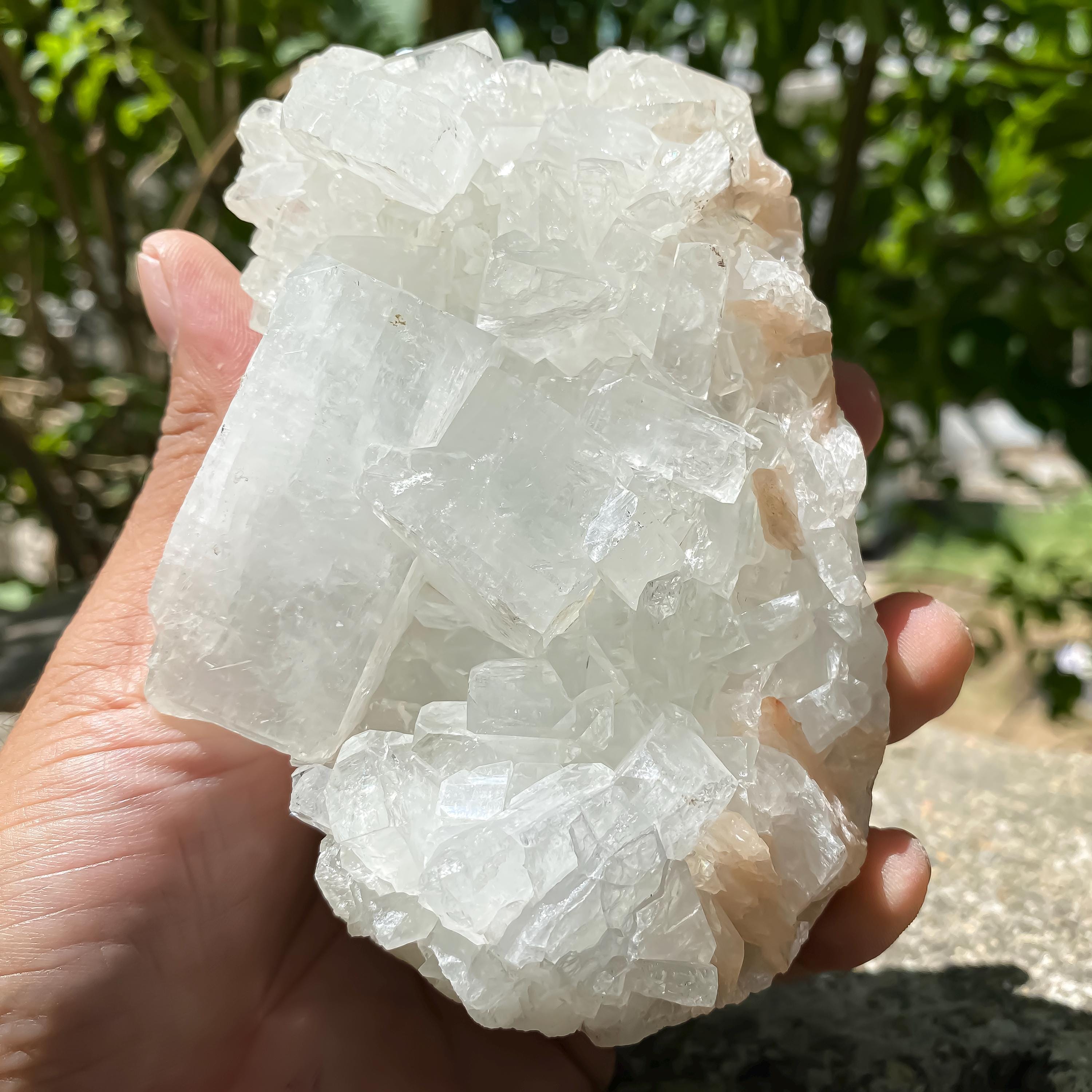 Natural White Apophyllite Cluster  593gm Druzy Crystal  Reiki Healing Stone Rough