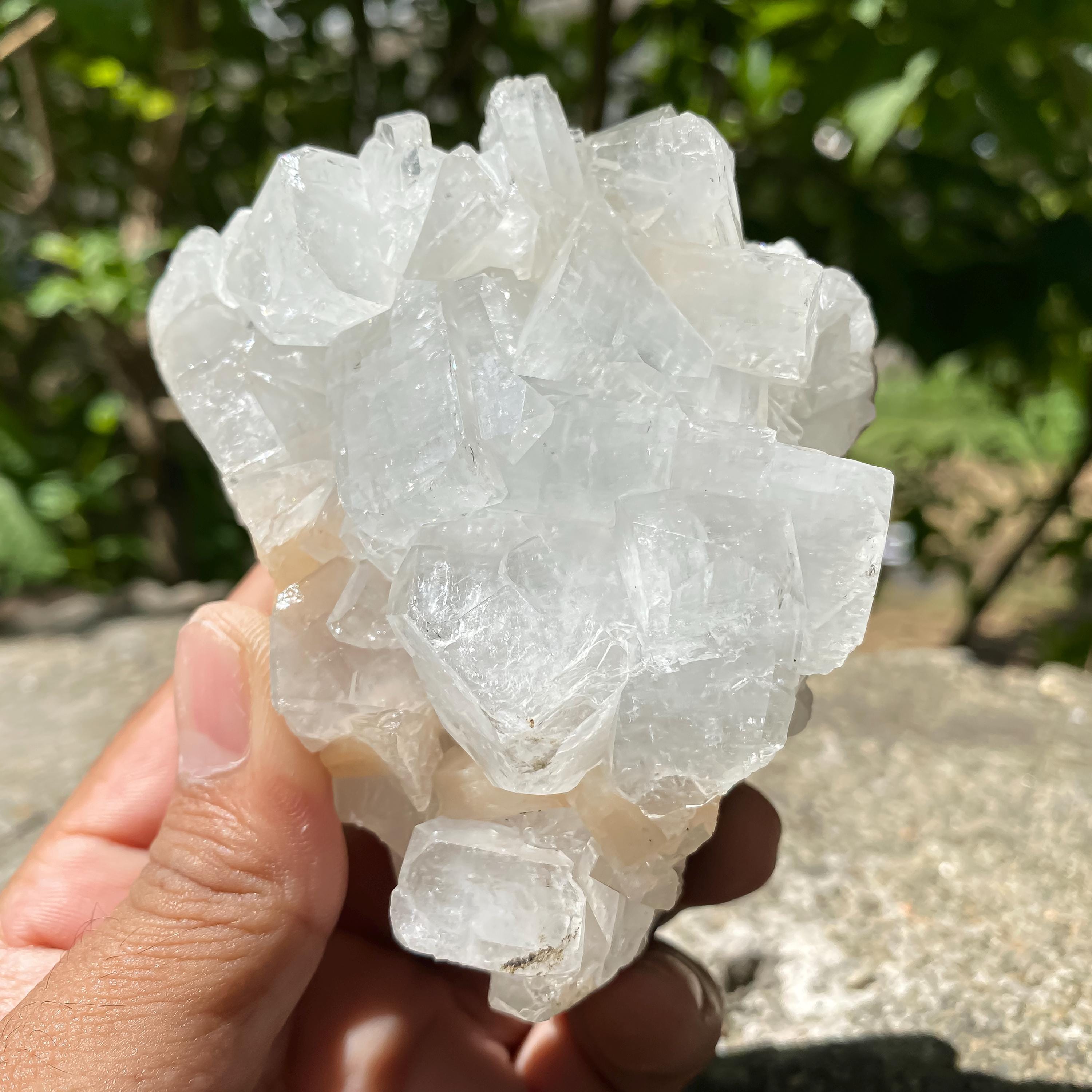 Natural White Apophyllite Crystal  Raw Cluster  Meditation & Healing Stone Decor Rough 296gm