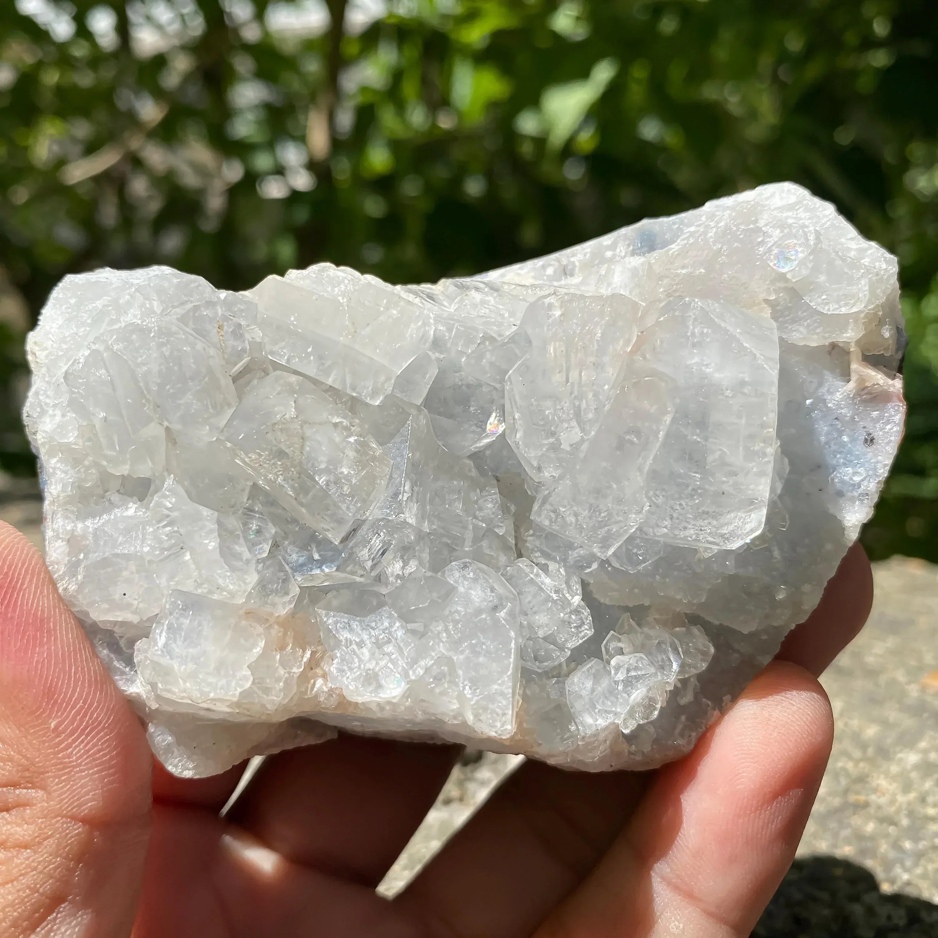 White Apophyllite Crystal Cluster 265gm Natural Rough Druzy Mineral Specimen Zeolite