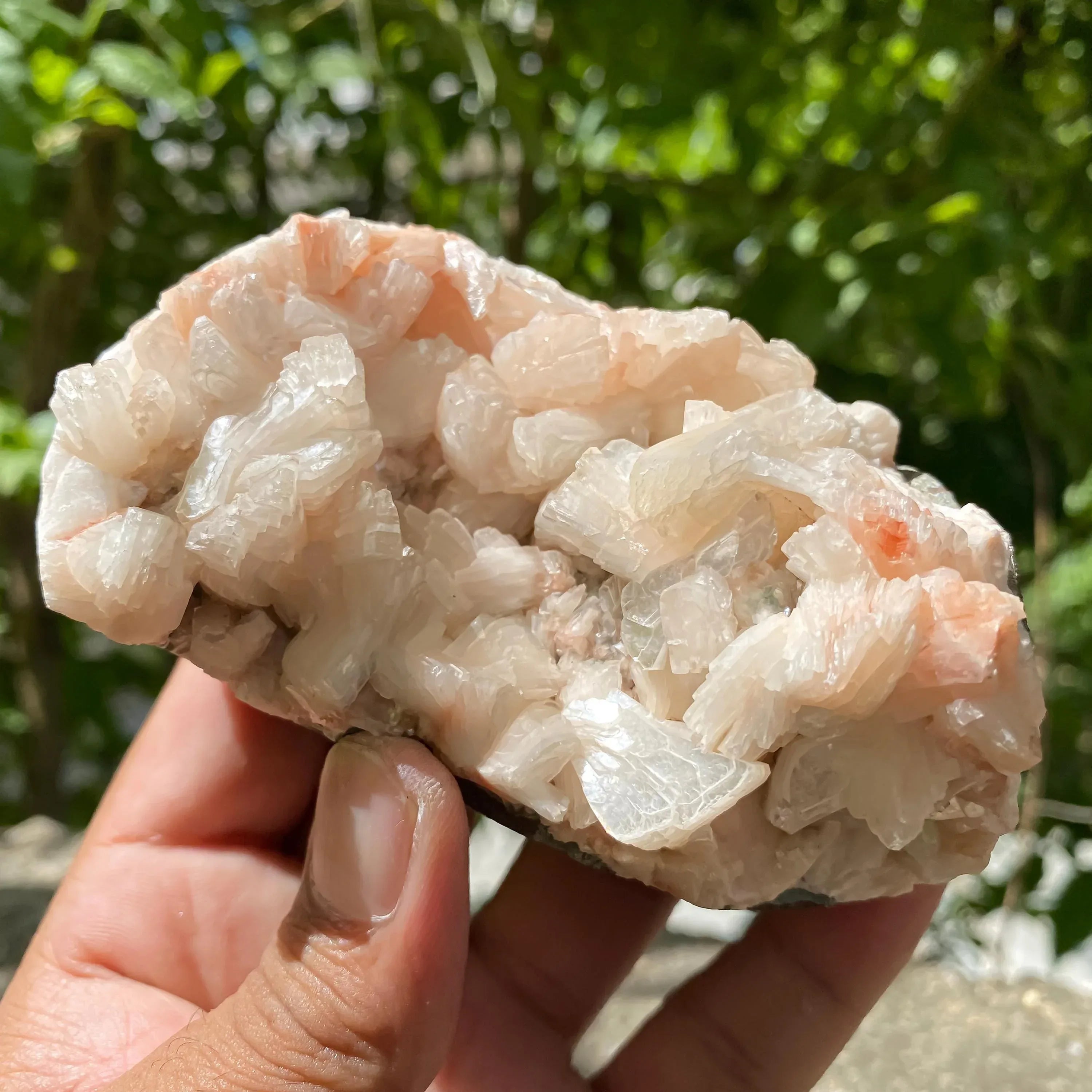 370gm Peach Stilbite Apophyllite Crystal Cluster with Stilbite Mineral Rough Healing Crystals Zeolite