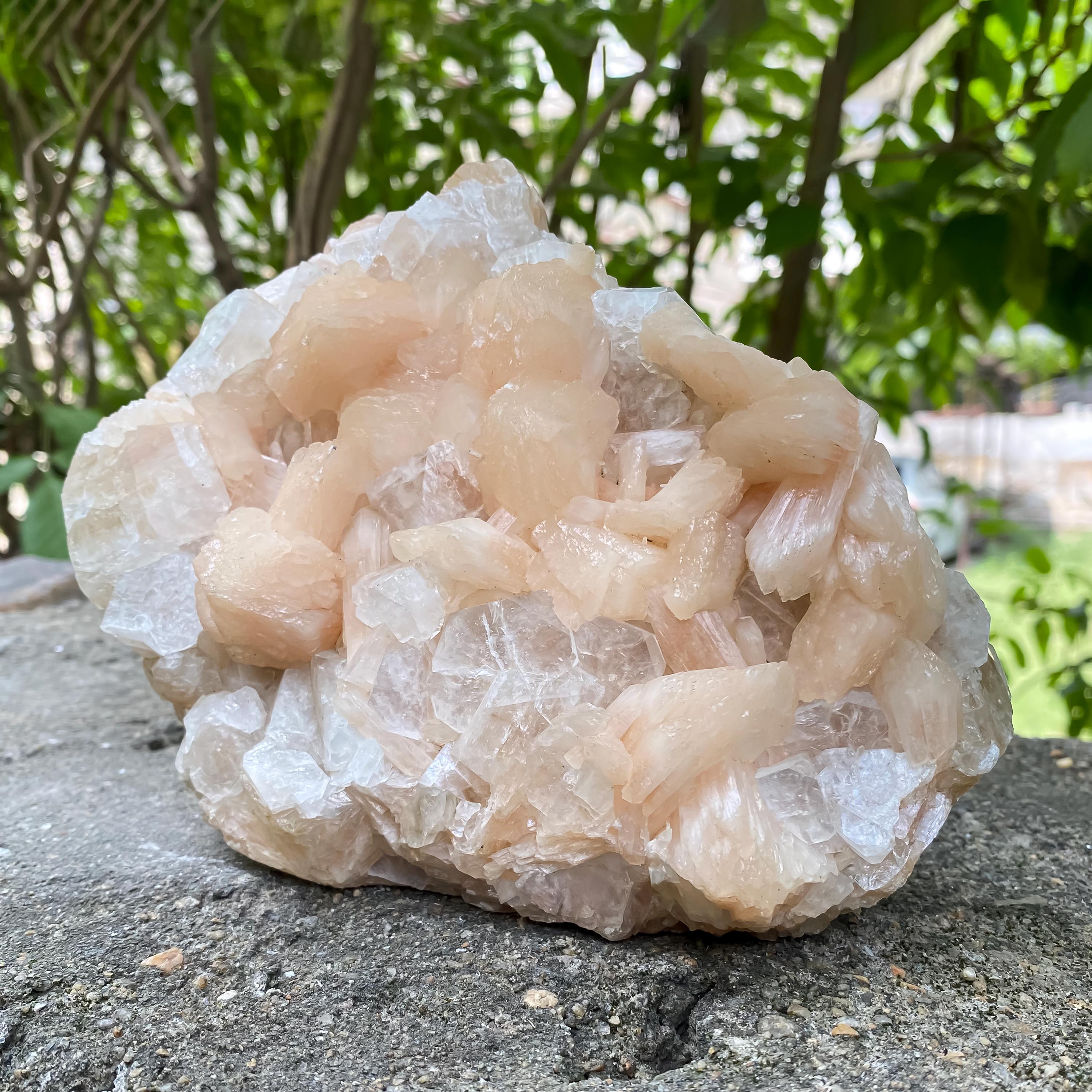 Natural Stillbite Apophyllite Geode Cluster Healing Crystal Mineral Specimen Reiki