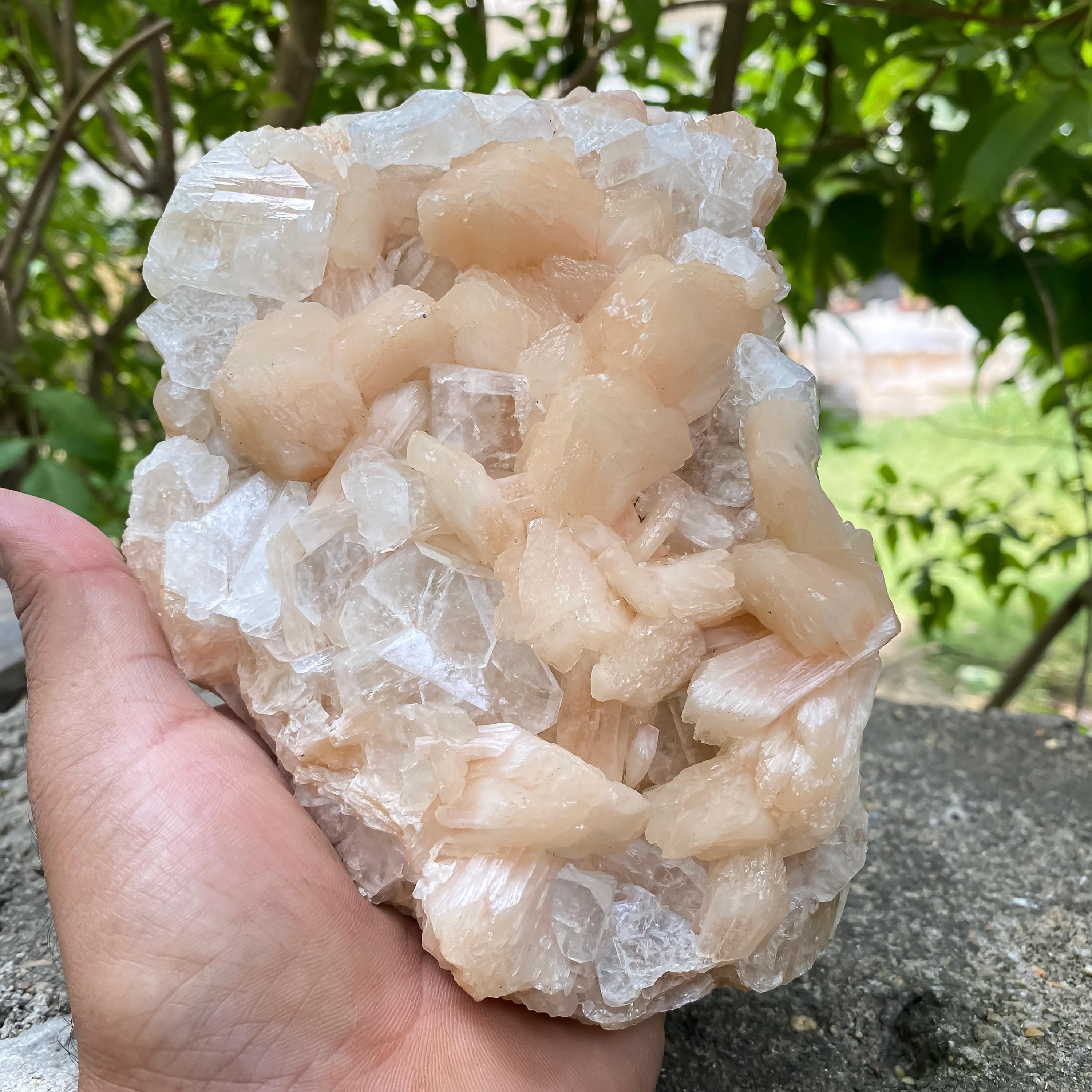 Natural Stillbite Apophyllite Geode Cluster Healing Crystal Mineral Specimen Reiki