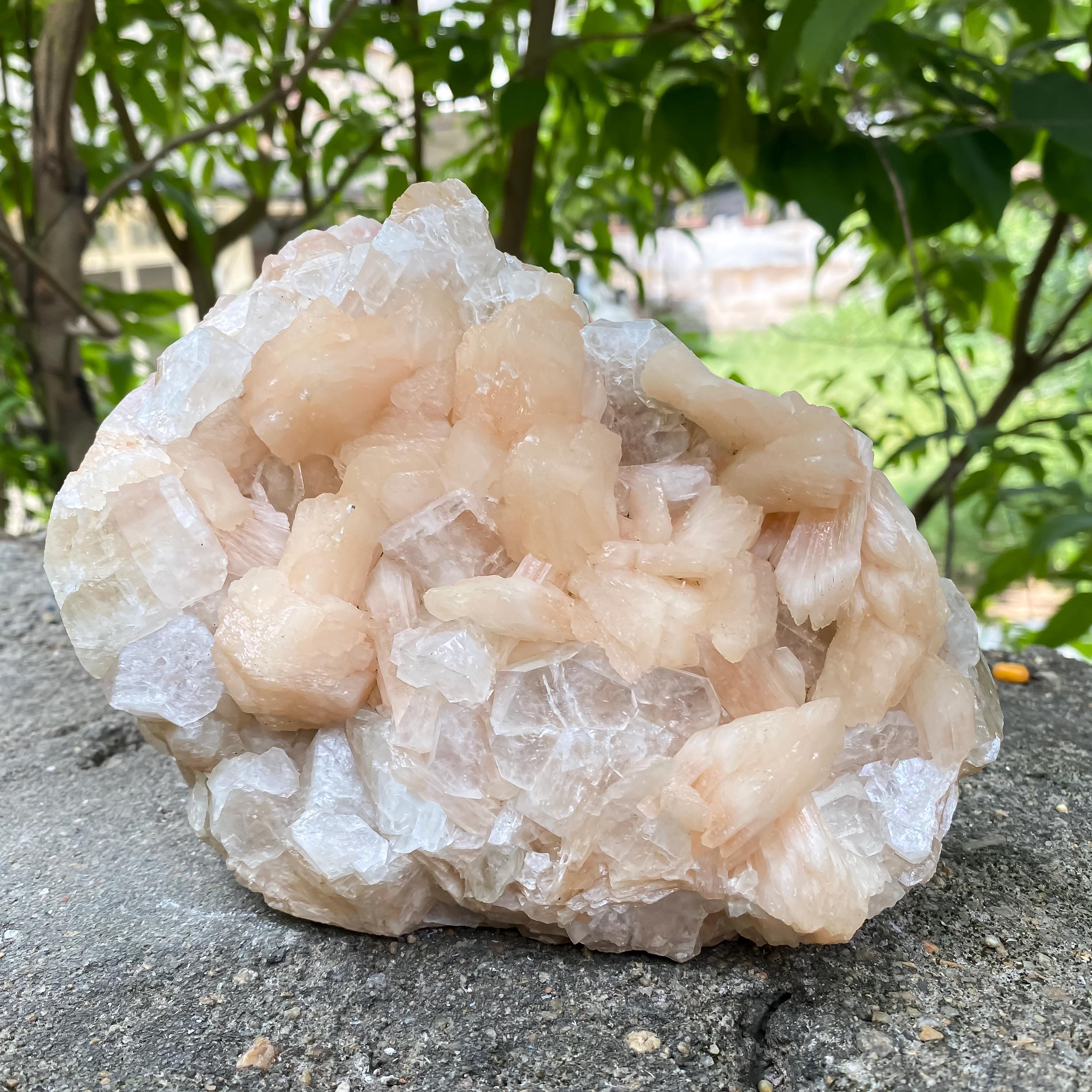 Natural Stillbite Apophyllite Geode Cluster Healing Crystal Mineral Specimen Reiki