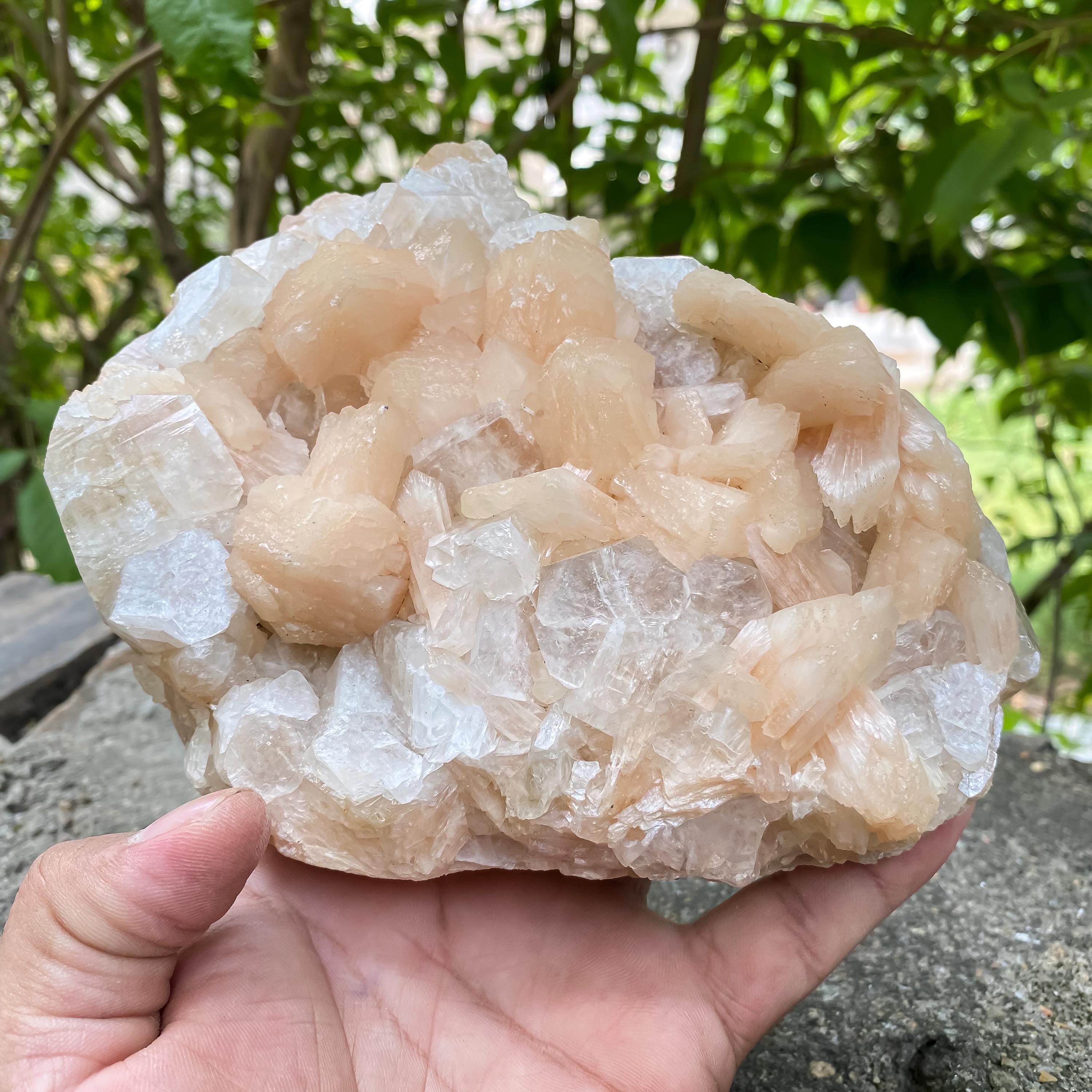 Natural Stillbite Apophyllite Geode Cluster Healing Crystal Mineral Specimen Reiki