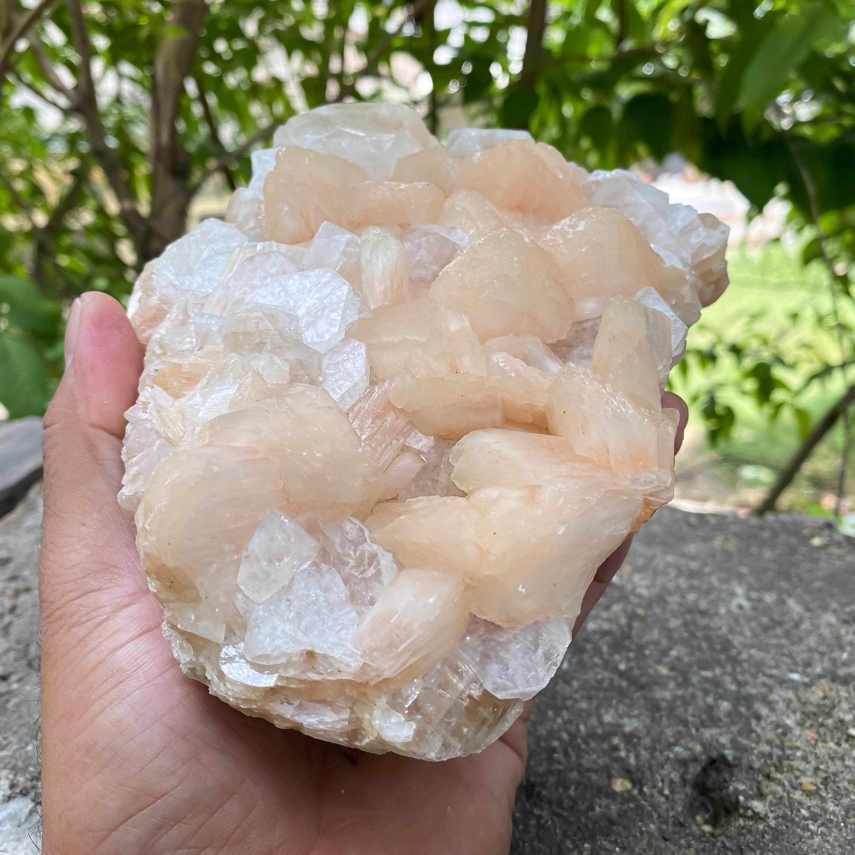 Natural Stillbite Apophyllite Geode Cluster Healing Crystal Mineral Specimen Reiki
