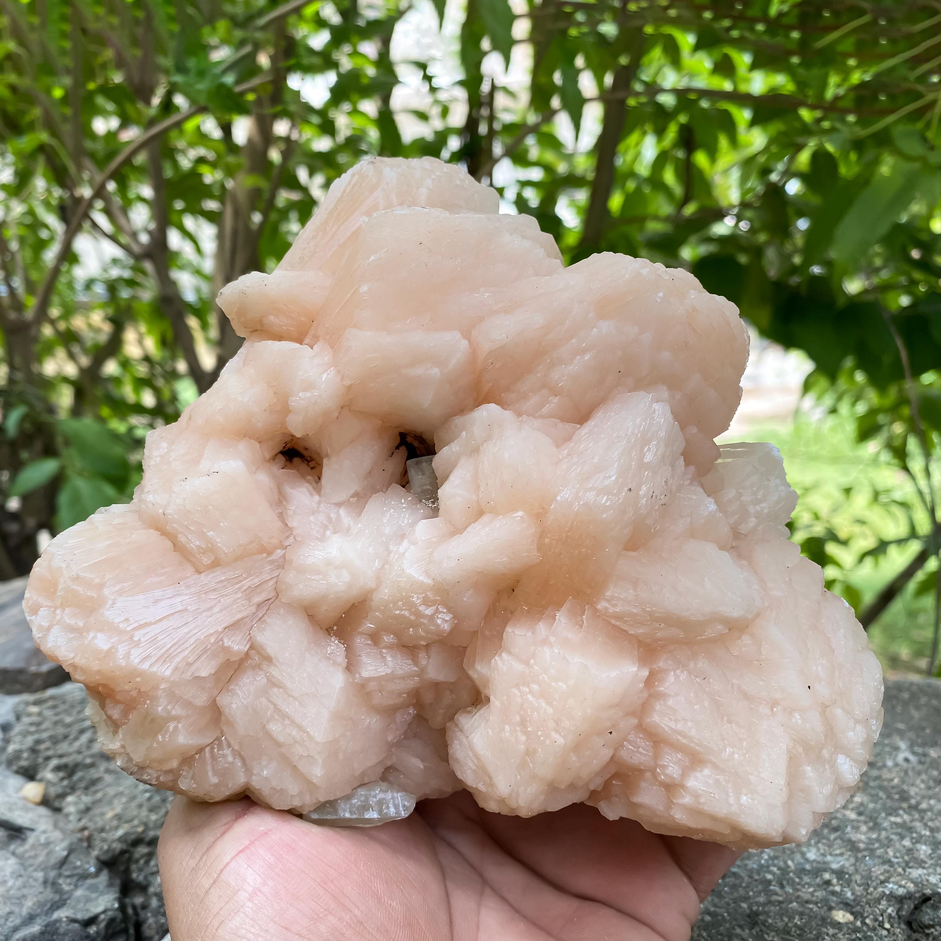 Stillbite Apophyllite Geode Cluster Natural Healing Crystal Minerals Specimen Rough