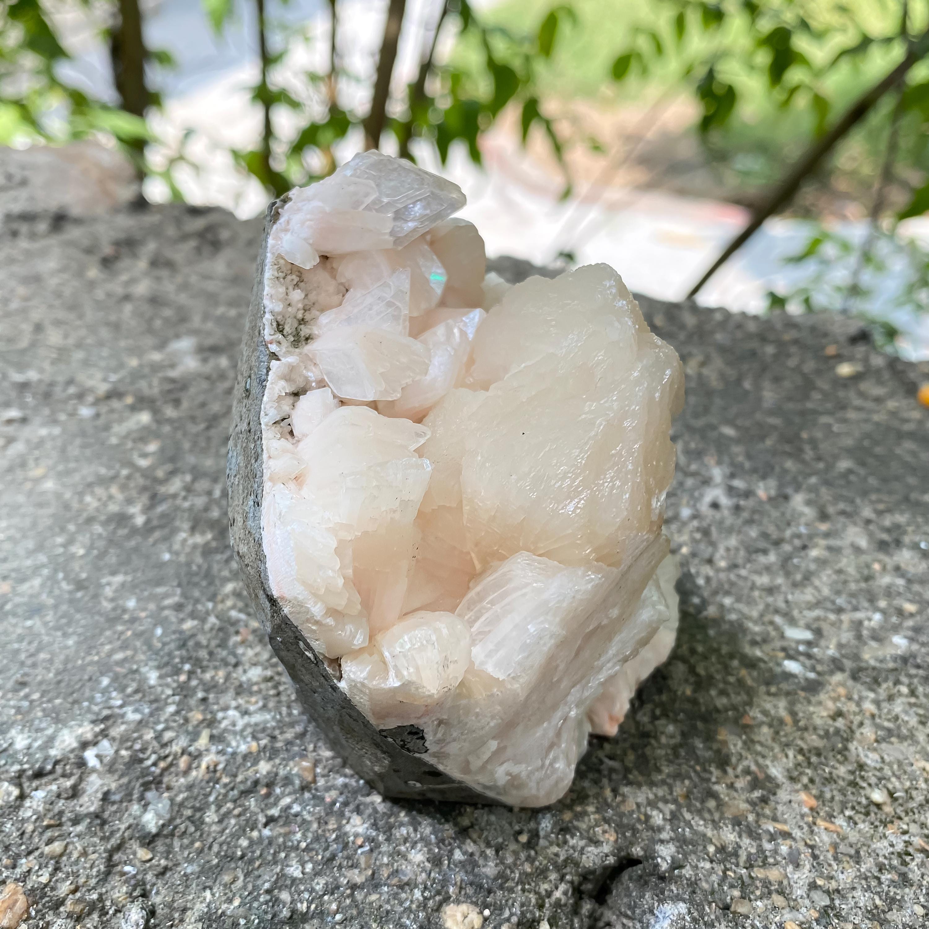 Rare Cubic Stilbite Apophyllite on Peach Pink Pastel Stilbite - Crystal Healing Decor 370gm
