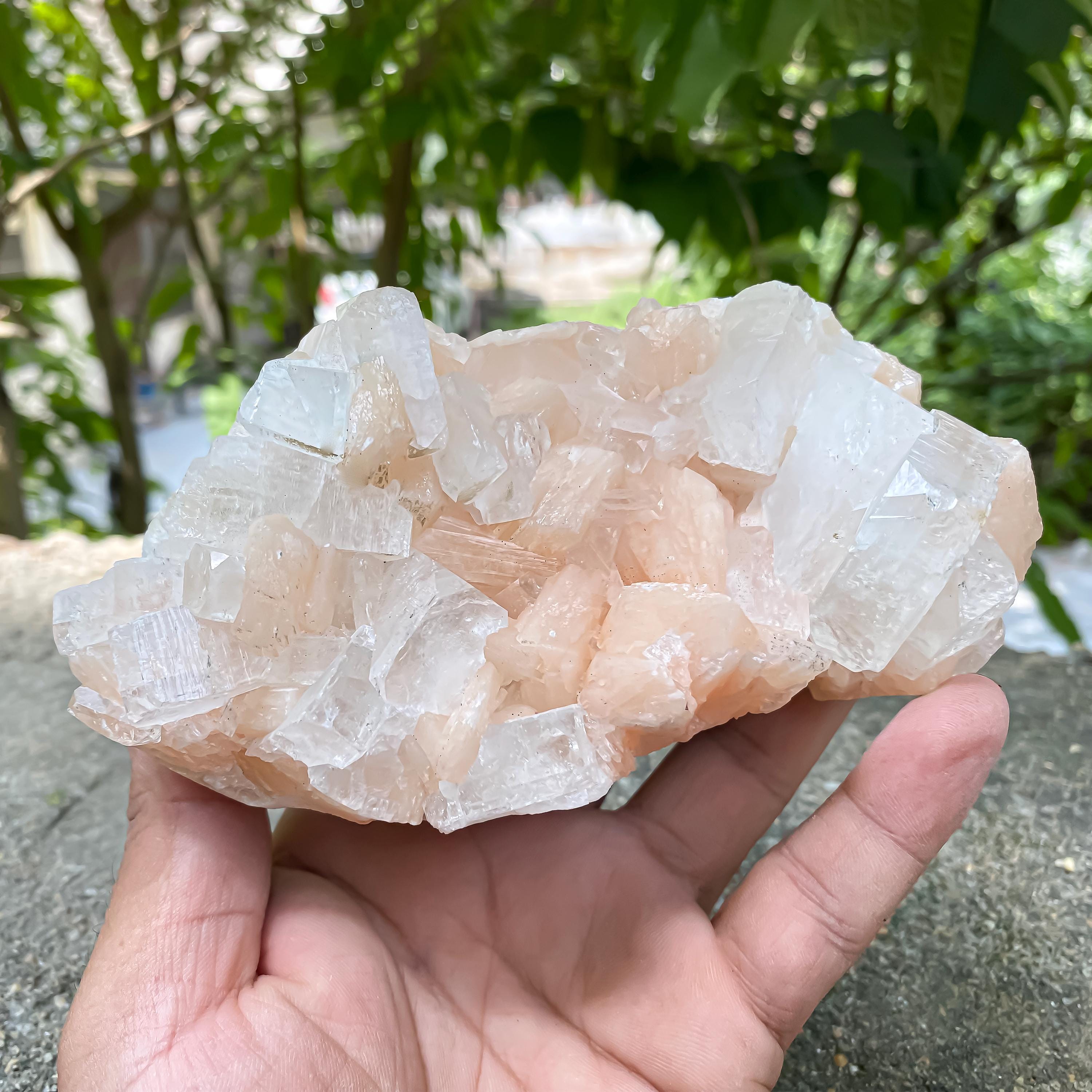 Peach Stilbite Apophyllite Cluster: Calming Reiki Healing Crystal 665gm