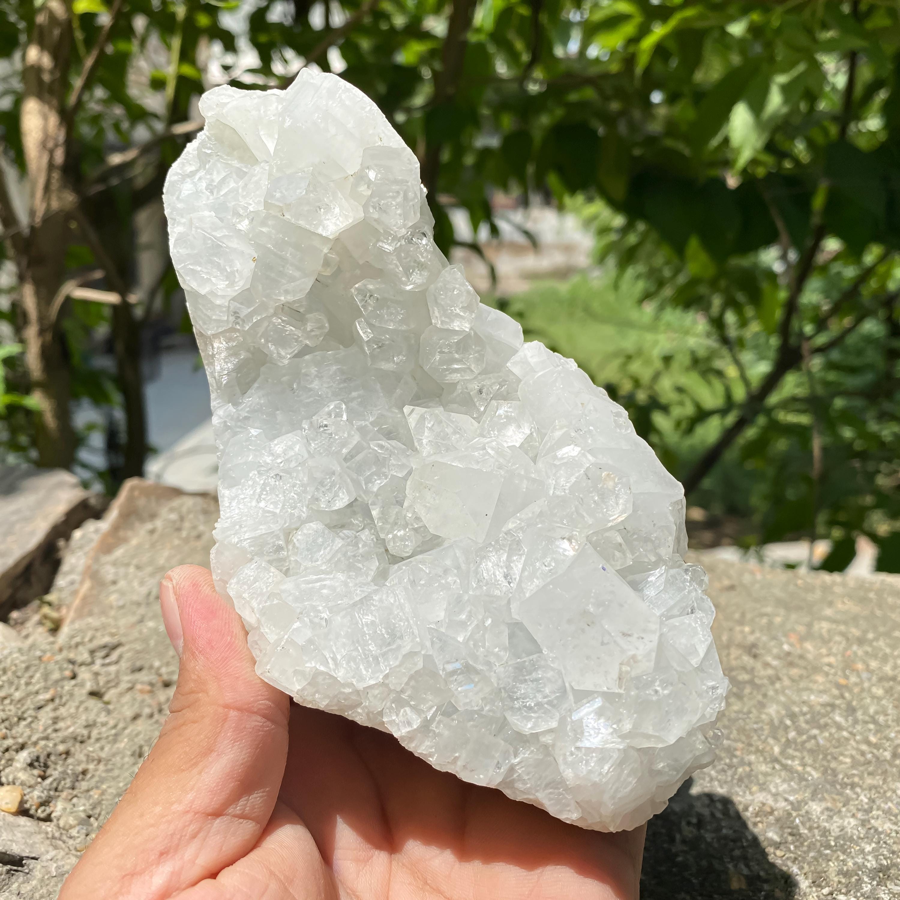 Apophyllite Zeolite Cluster: Natural Healing Stone, Meditation Decor Rough 545gm