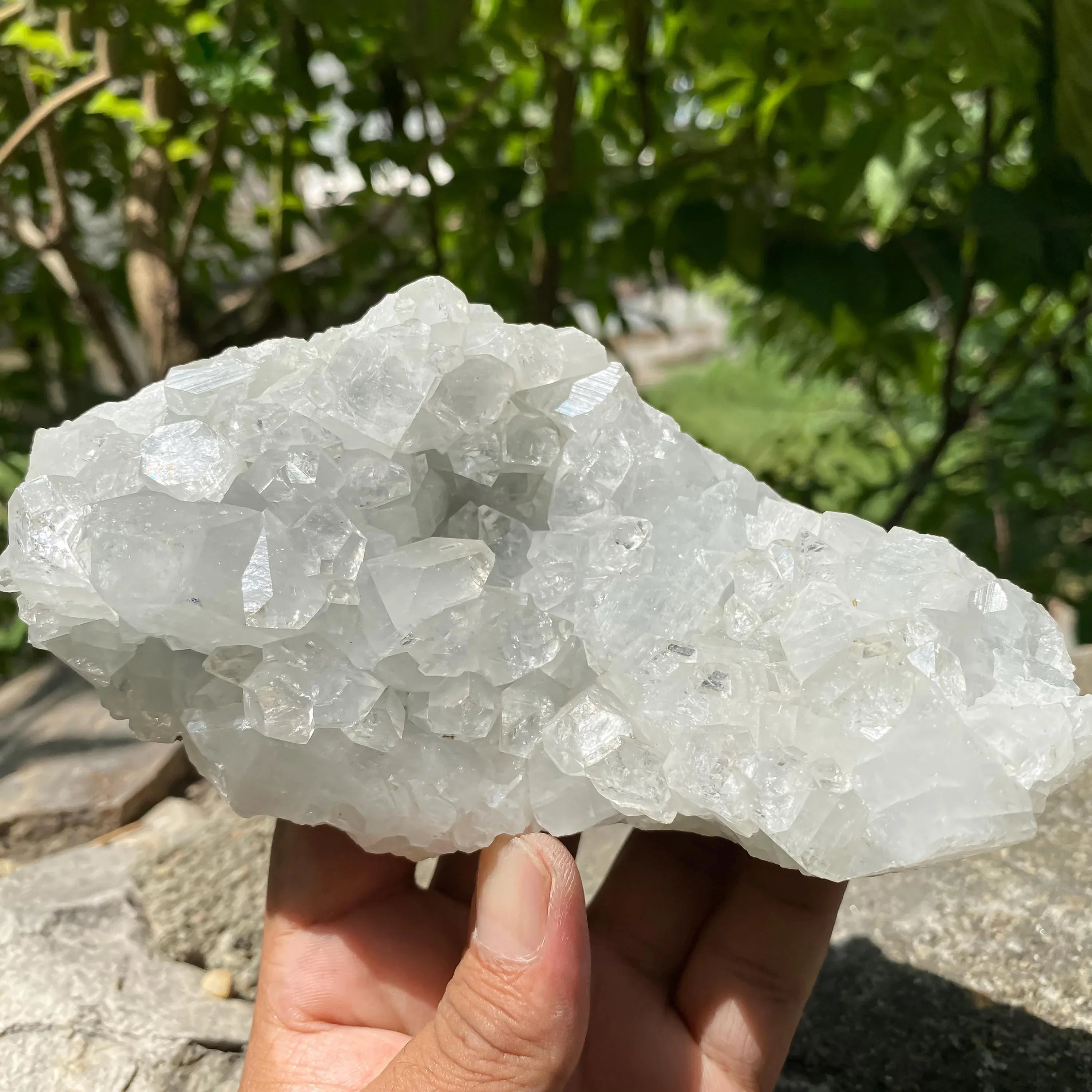 Apophyllite Zeolite Cluster: Natural Healing Stone, Meditation Decor Rough 545gm - Himalya Quartz