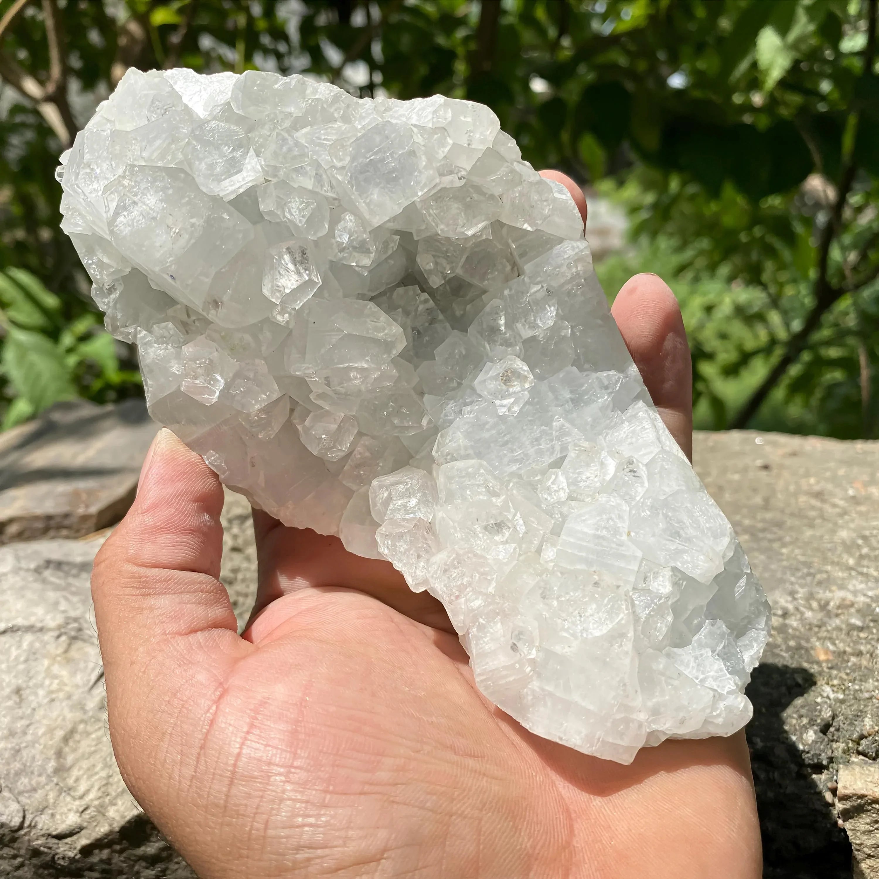 Apophyllite Zeolite Cluster: Natural Healing Stone, Meditation Decor Rough 545gm - Himalya Quartz