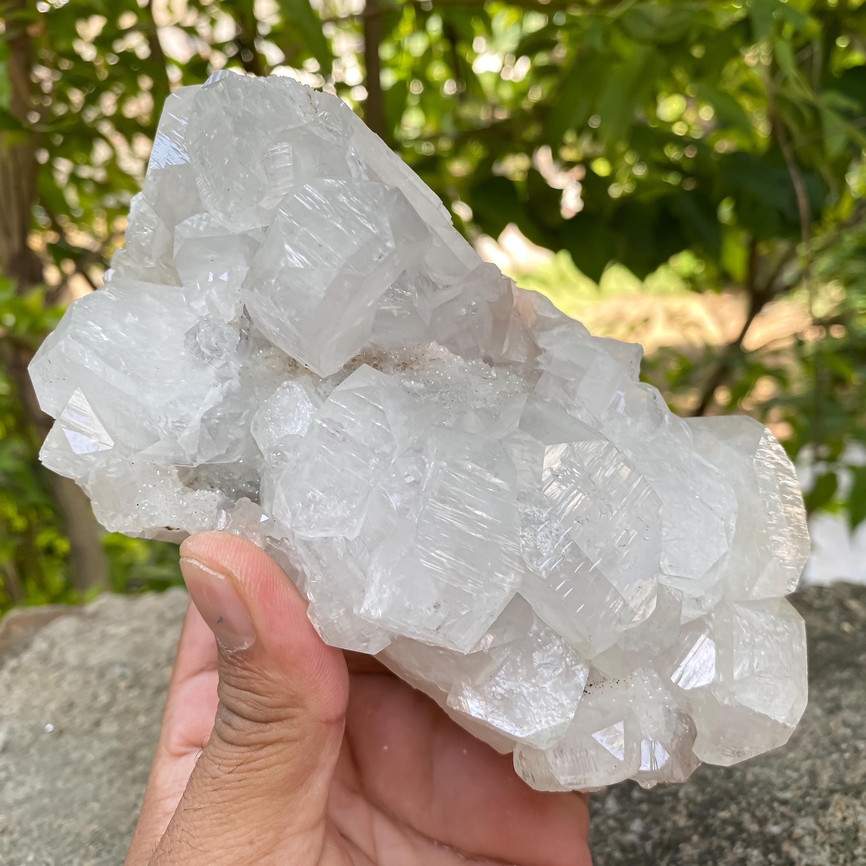 Natural Apophyllite Crystal Cluster | 990gm Healing Stone, Reiki Energy, Meditation, Home Décor, Mineral Specimen