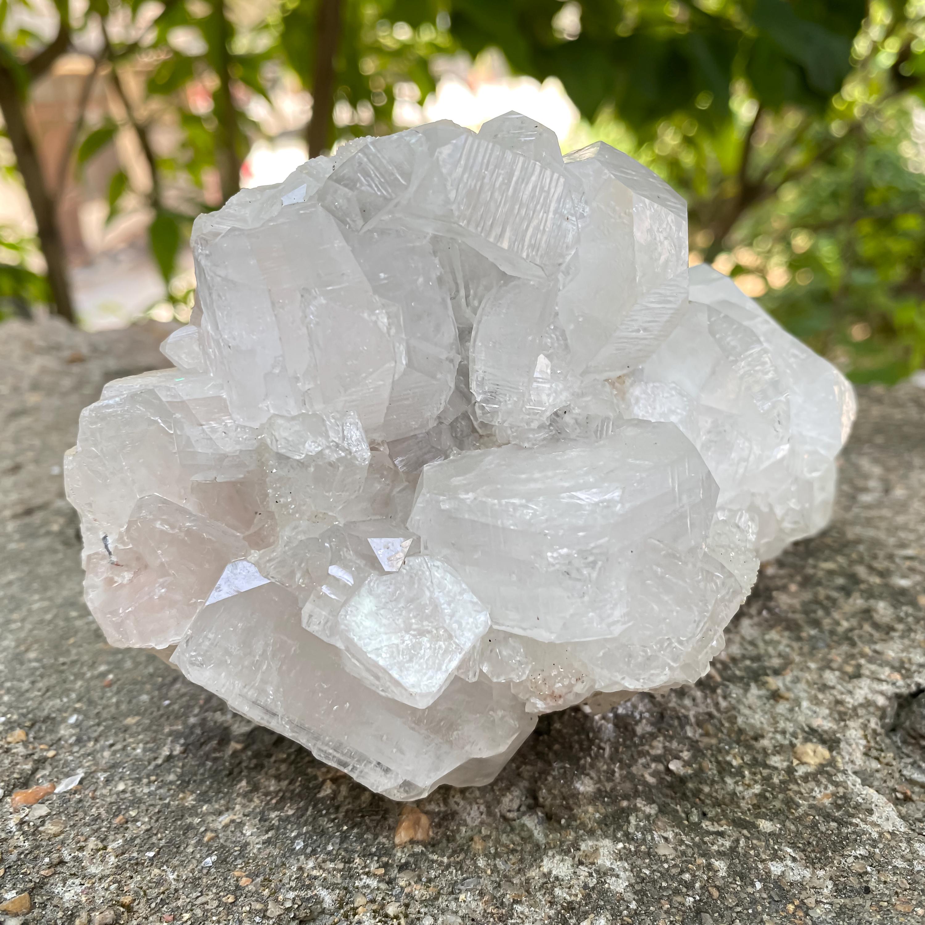 Natural Apophyllite Crystal Cluster | 990gm Healing Stone, Reiki Energy, Meditation, Home Décor, Mineral Specimen