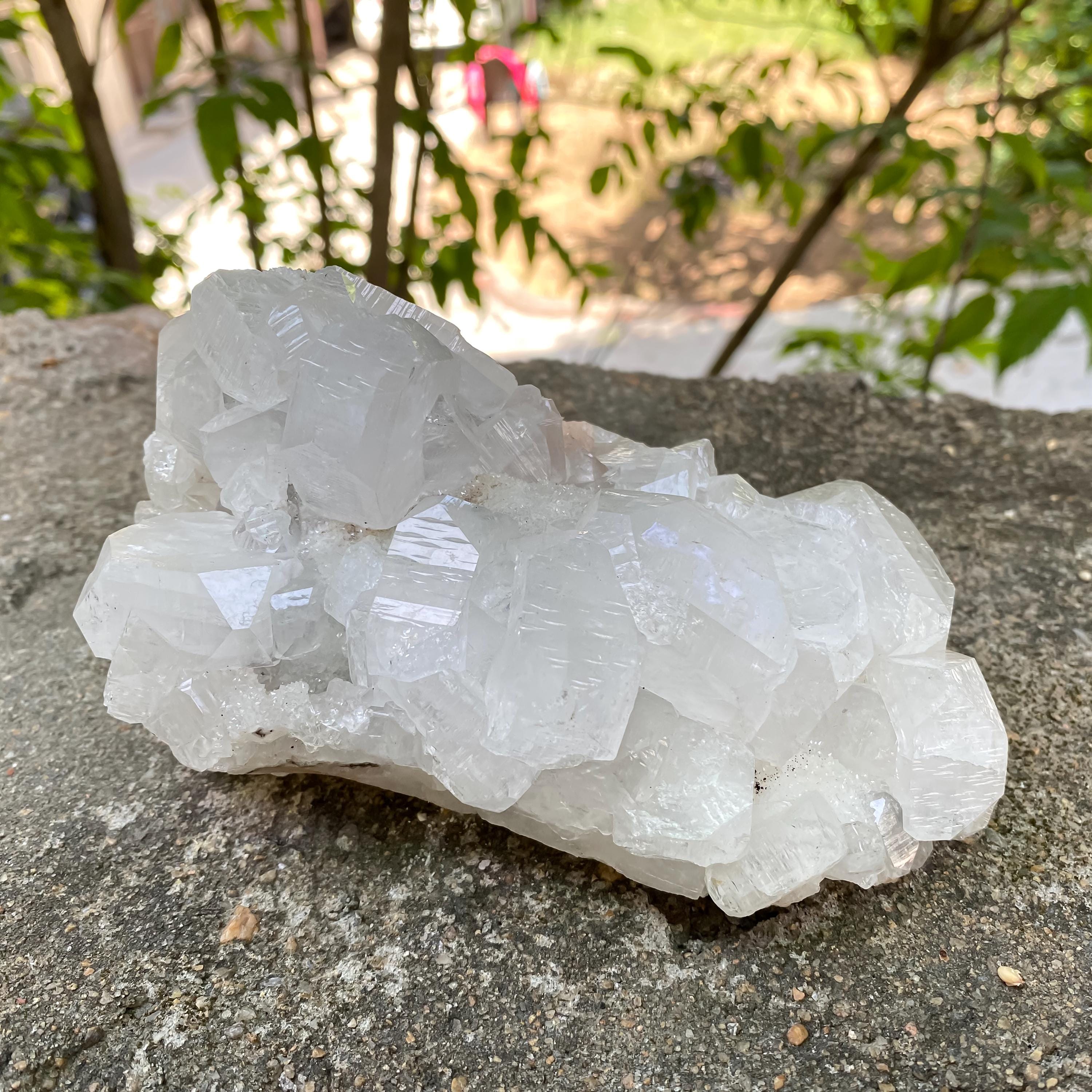 Natural Apophyllite Crystal Cluster | 990gm Healing Stone, Reiki Energy, Meditation, Home Décor, Mineral Specimen