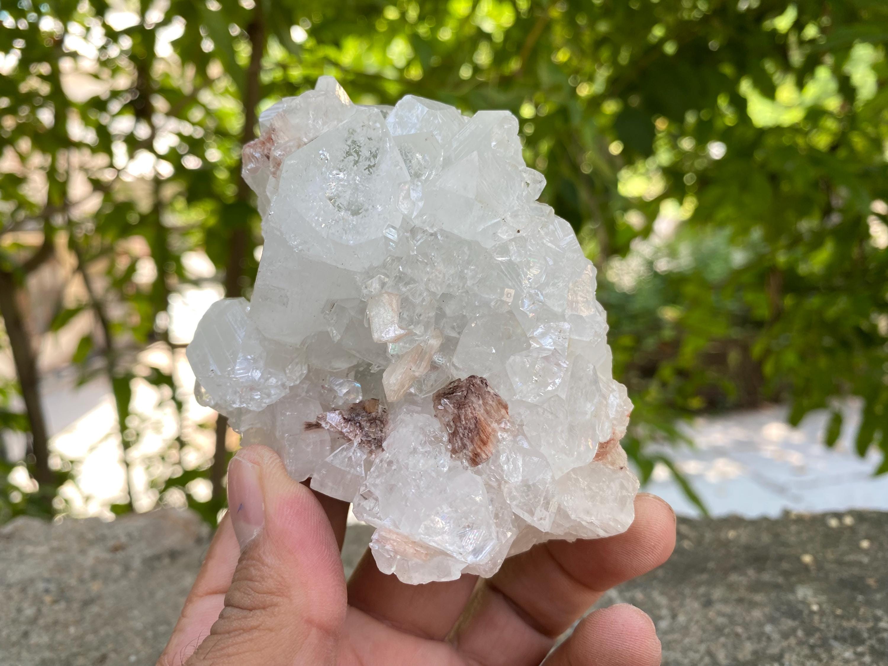 Rare White Apophyllite Geode 285gm Unique Healing Crystal for Spiritual Practice Rough