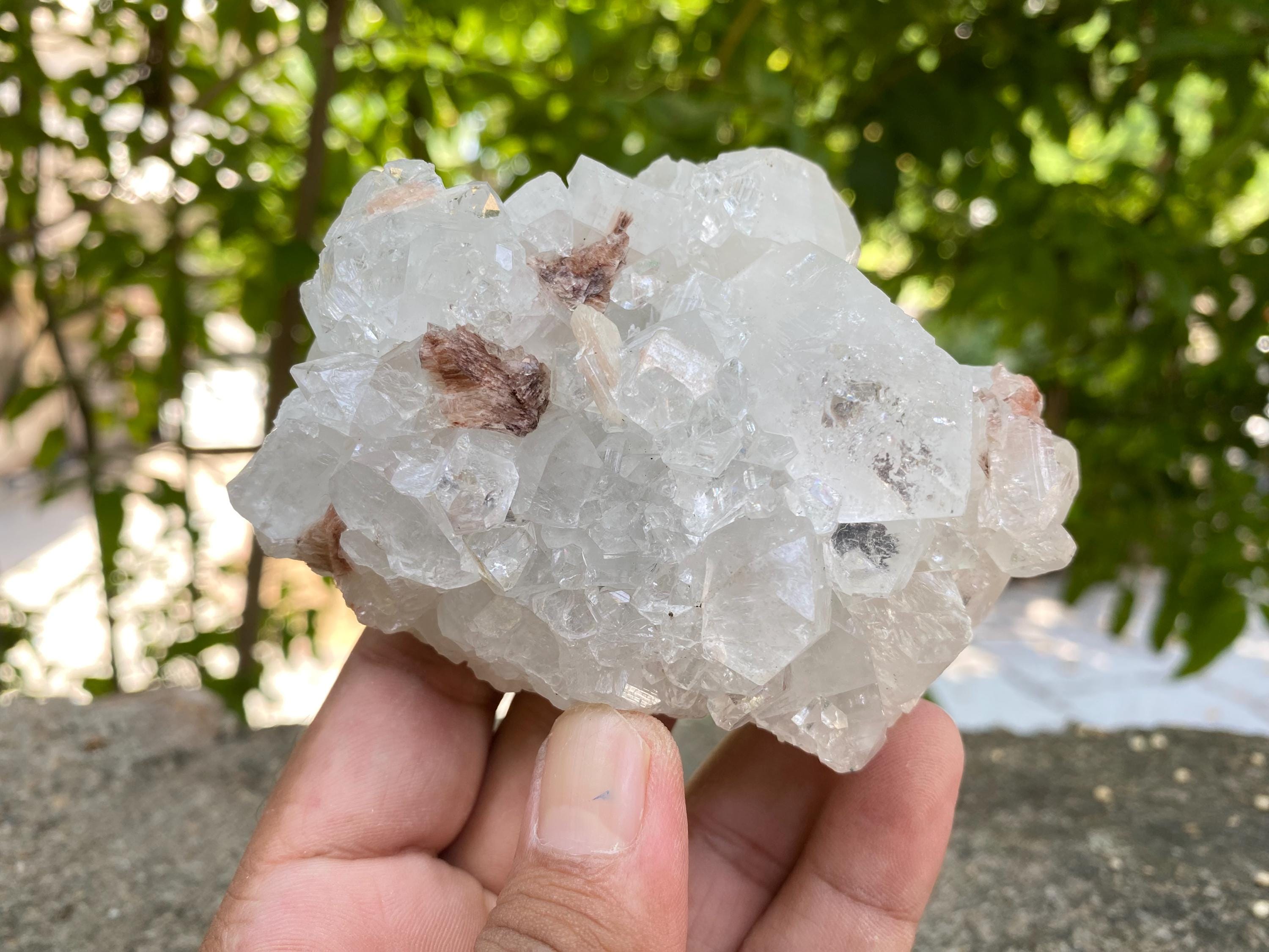 Rare White Apophyllite Geode 285gm Unique Healing Crystal for Spiritual Practice Rough