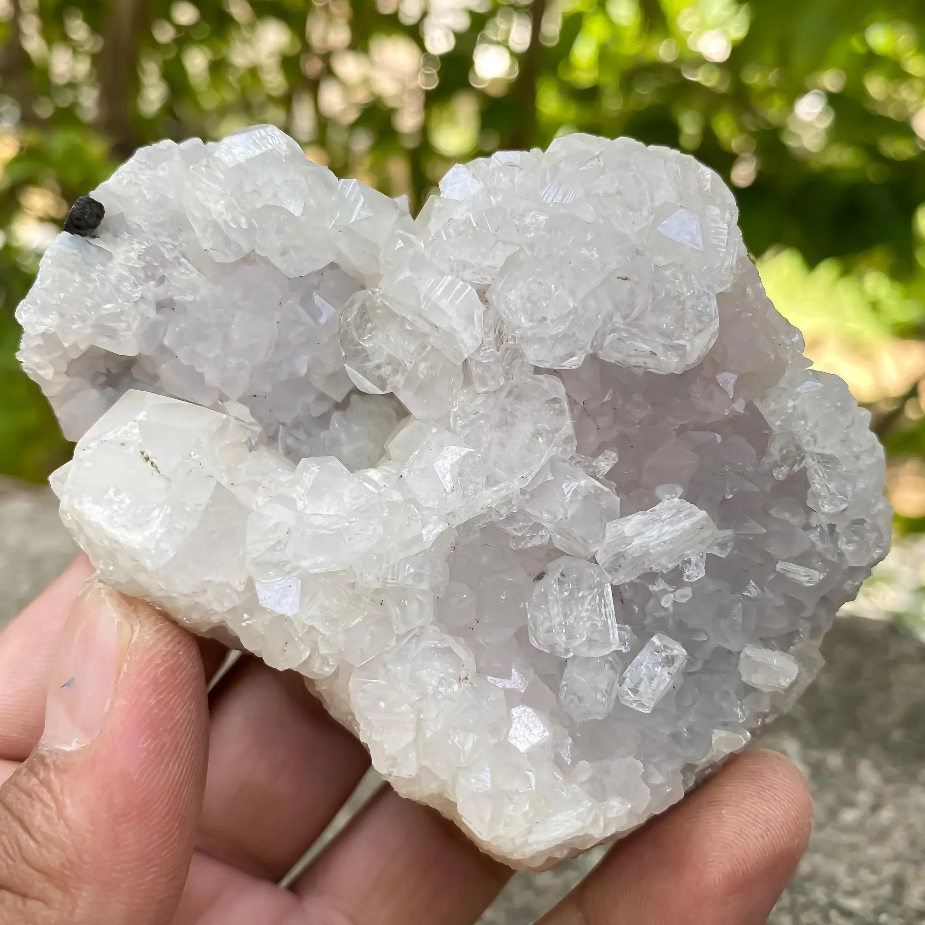 215gm White Apophyllite Cluster Natural Mineral Specimen Zeolite