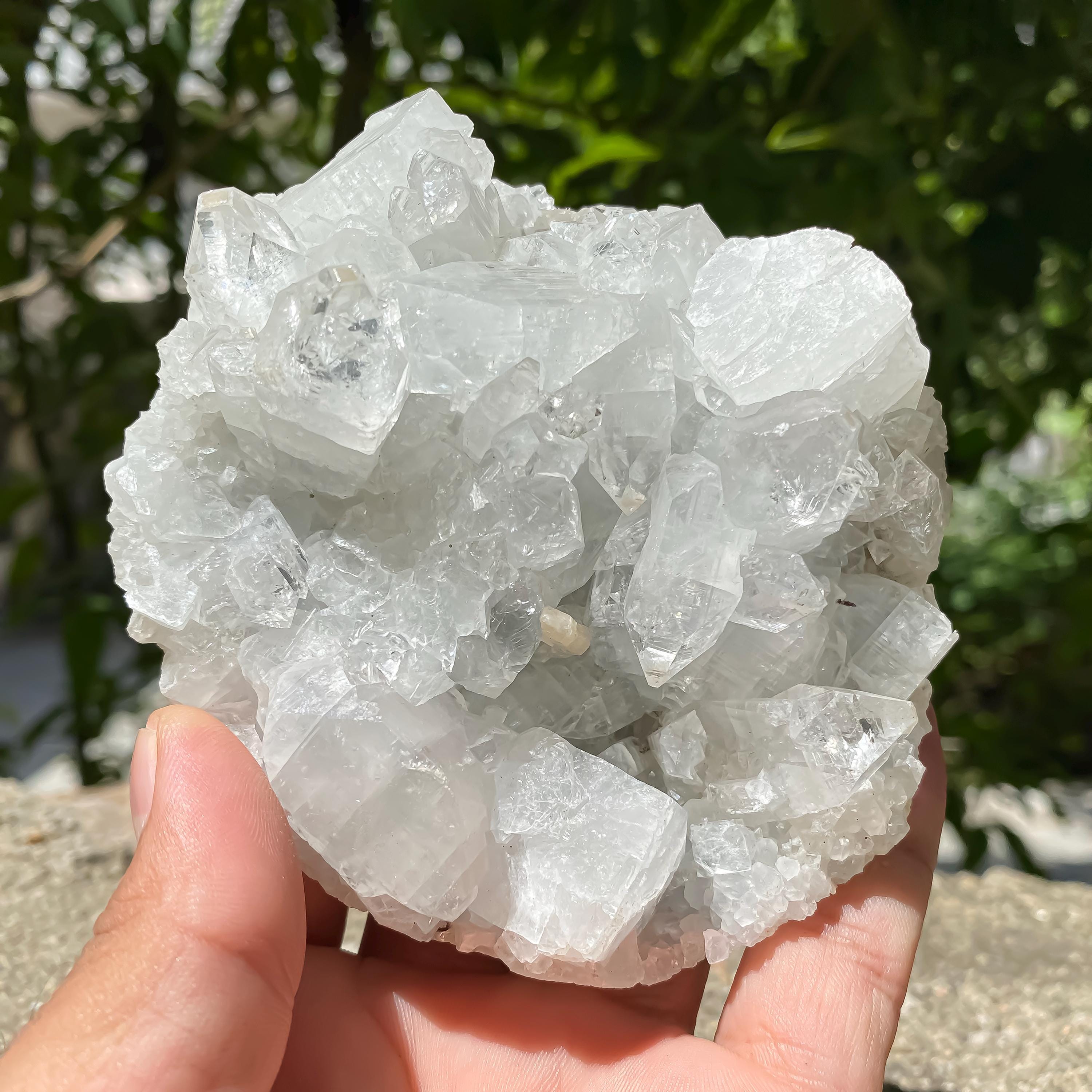 White Apophyllite Zeolite Cluster Rough  460gm Raw Crystal Mineral Reiki Healing
