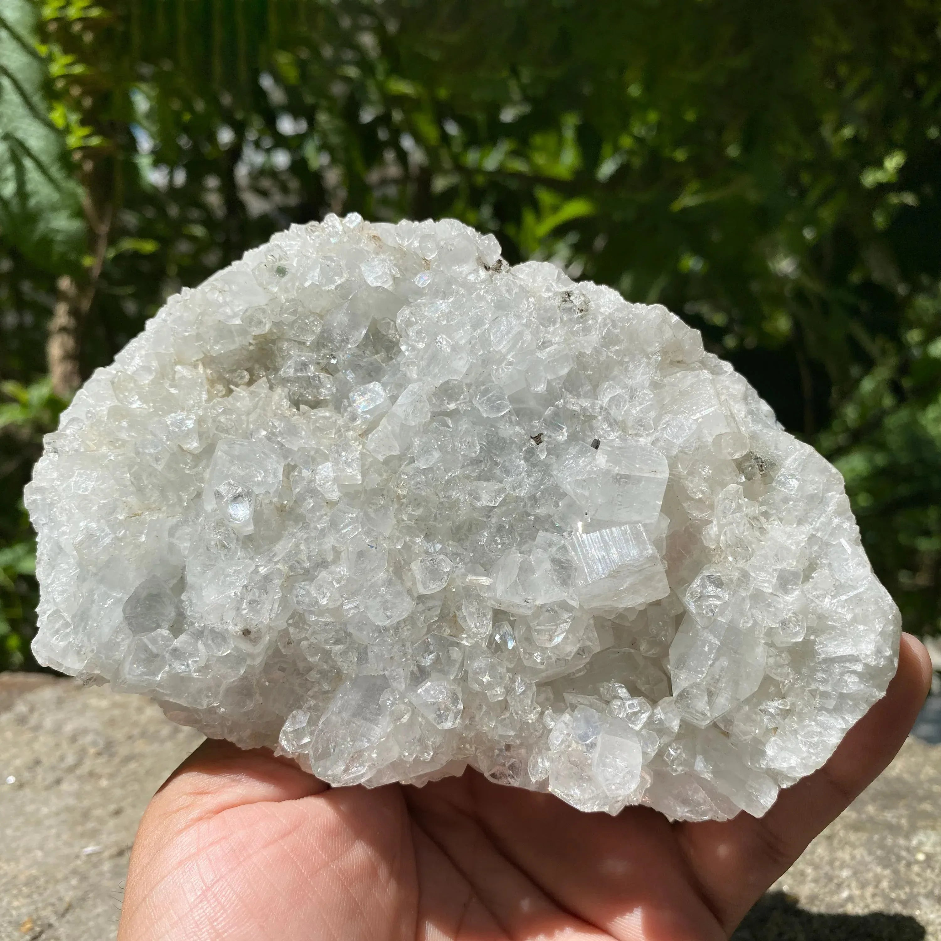 Apophyllite Zeolite Crystal Cluster 635gm Rare Natural Formation Collector Rough Zeolite