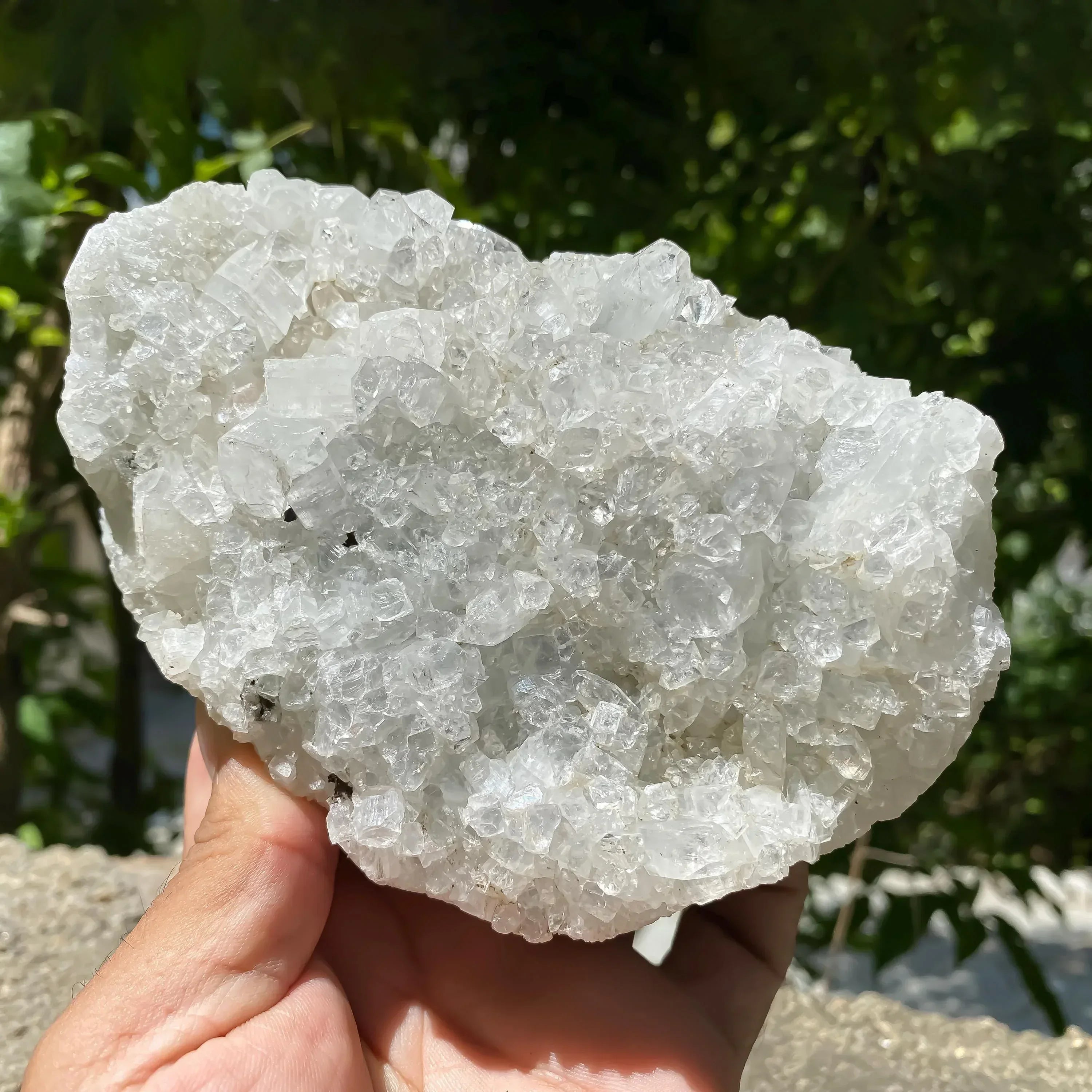 Apophyllite Zeolite Crystal Cluster 635gm Rare Natural Formation Collector Rough Zeolite