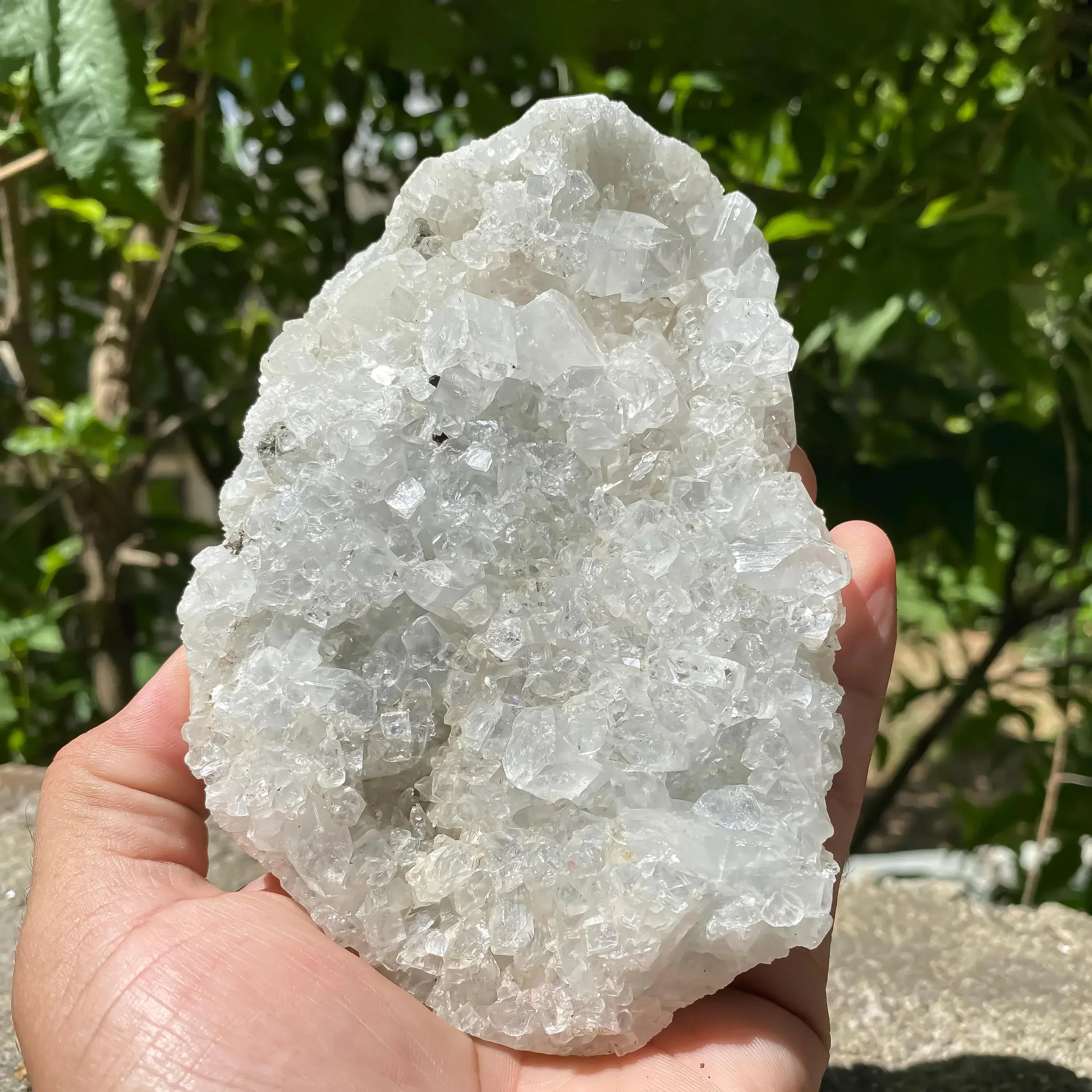 Apophyllite Zeolite Crystal Cluster 635gm Rare Natural Formation Collector Rough Zeolite