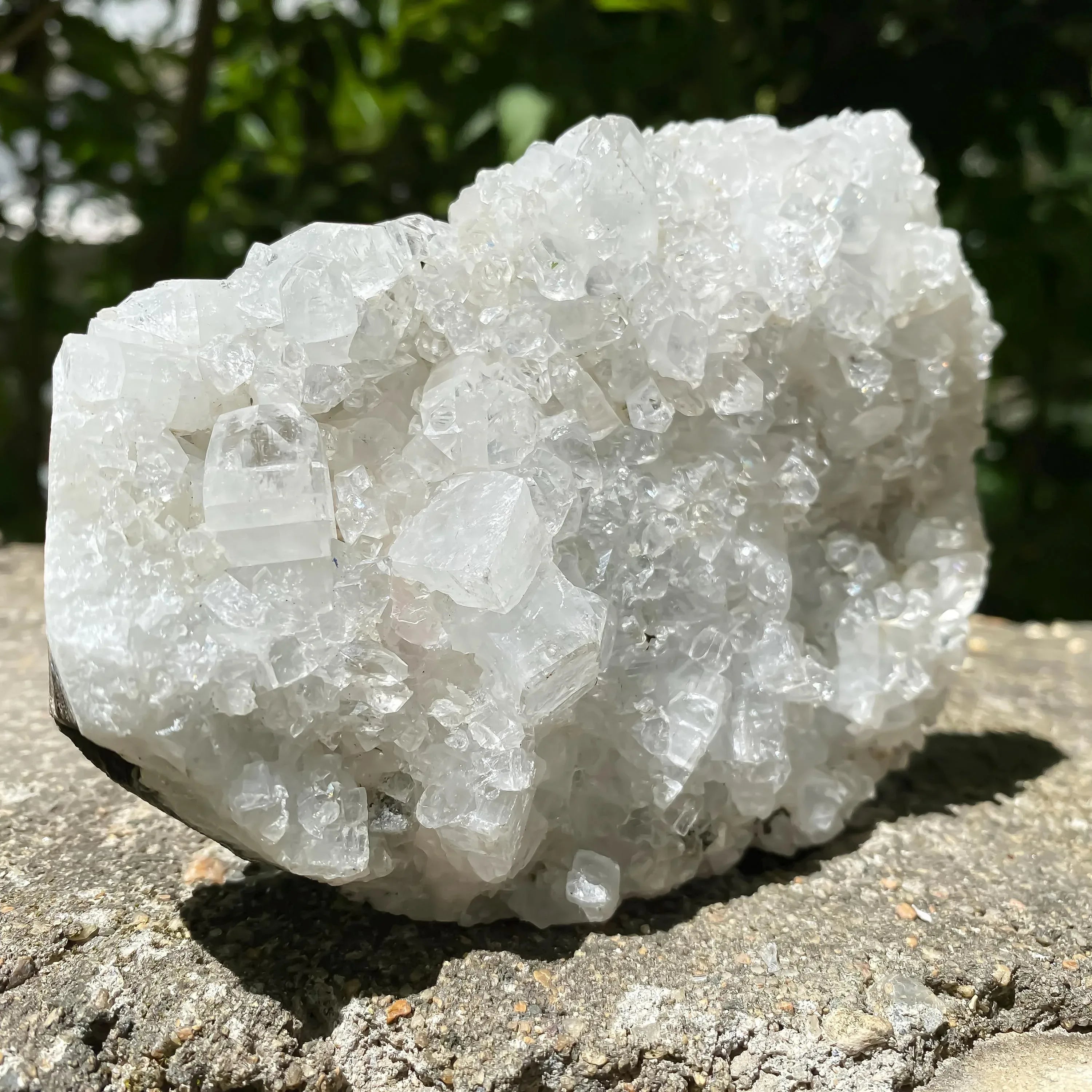 Apophyllite Zeolite Crystal Cluster 635gm Rare Natural Formation Collector Rough Zeolite