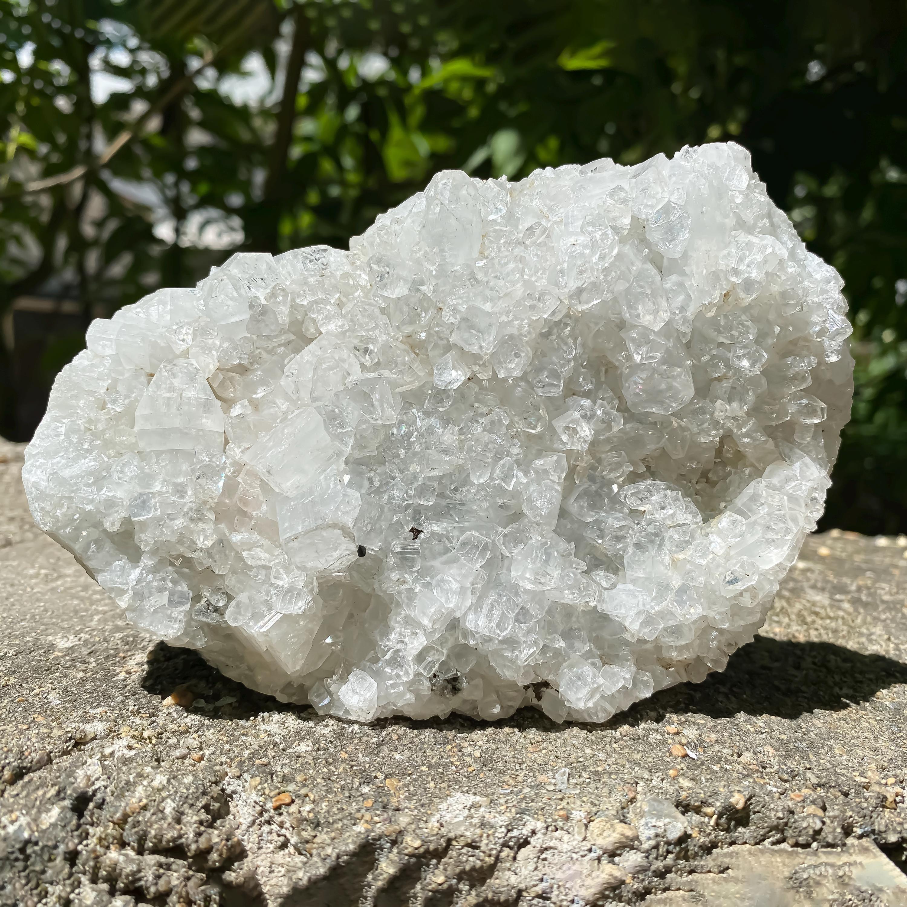 Apophyllite Zeolite Crystal Cluster 635gm Rare Natural Formation Collector Rough Zeolite