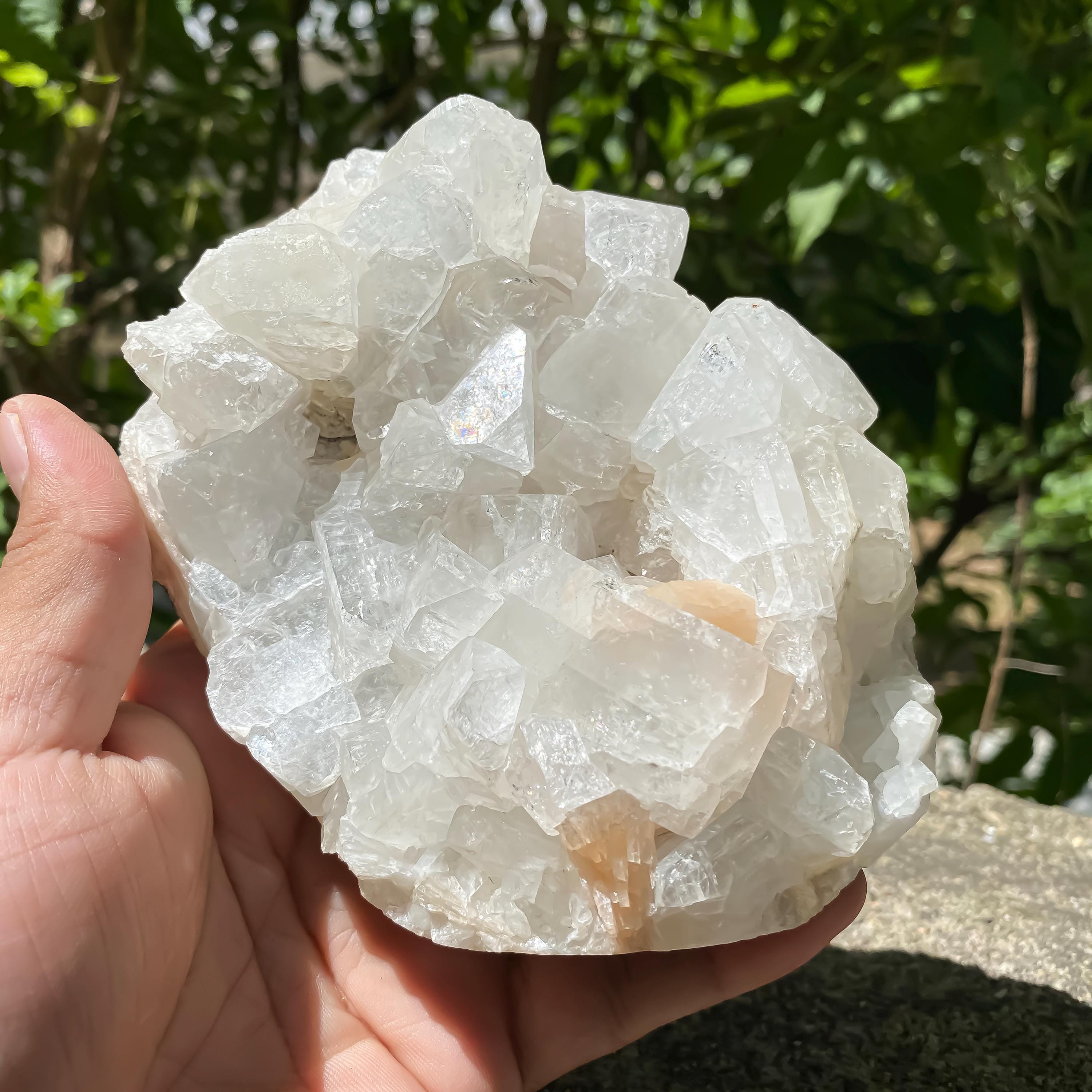 Natural Apophyllite Crystal Cluster: Spiritual Home Decor, Meditation Stone 835gm