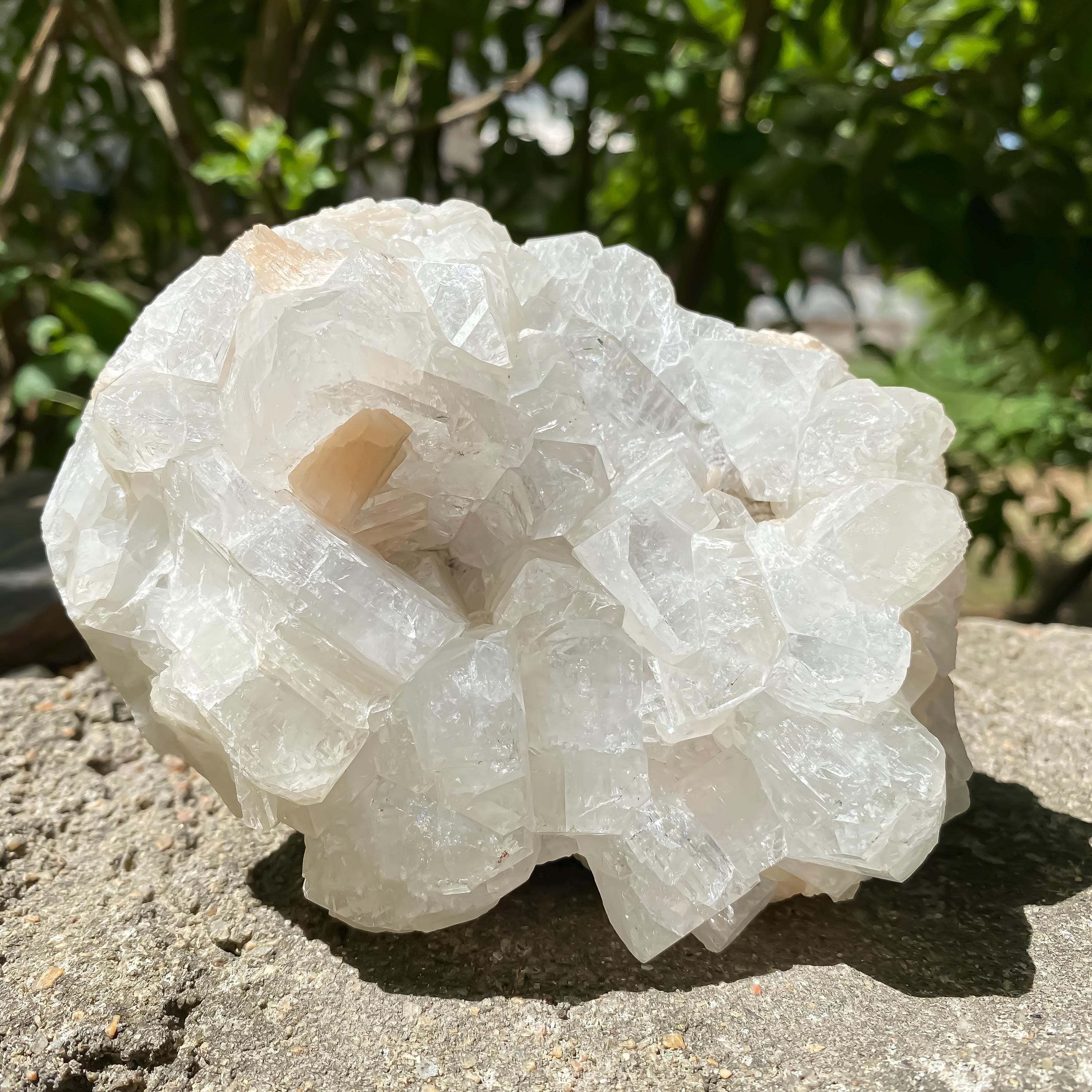 Natural Apophyllite Crystal Cluster: Spiritual Home Decor, Meditation Stone 835gm