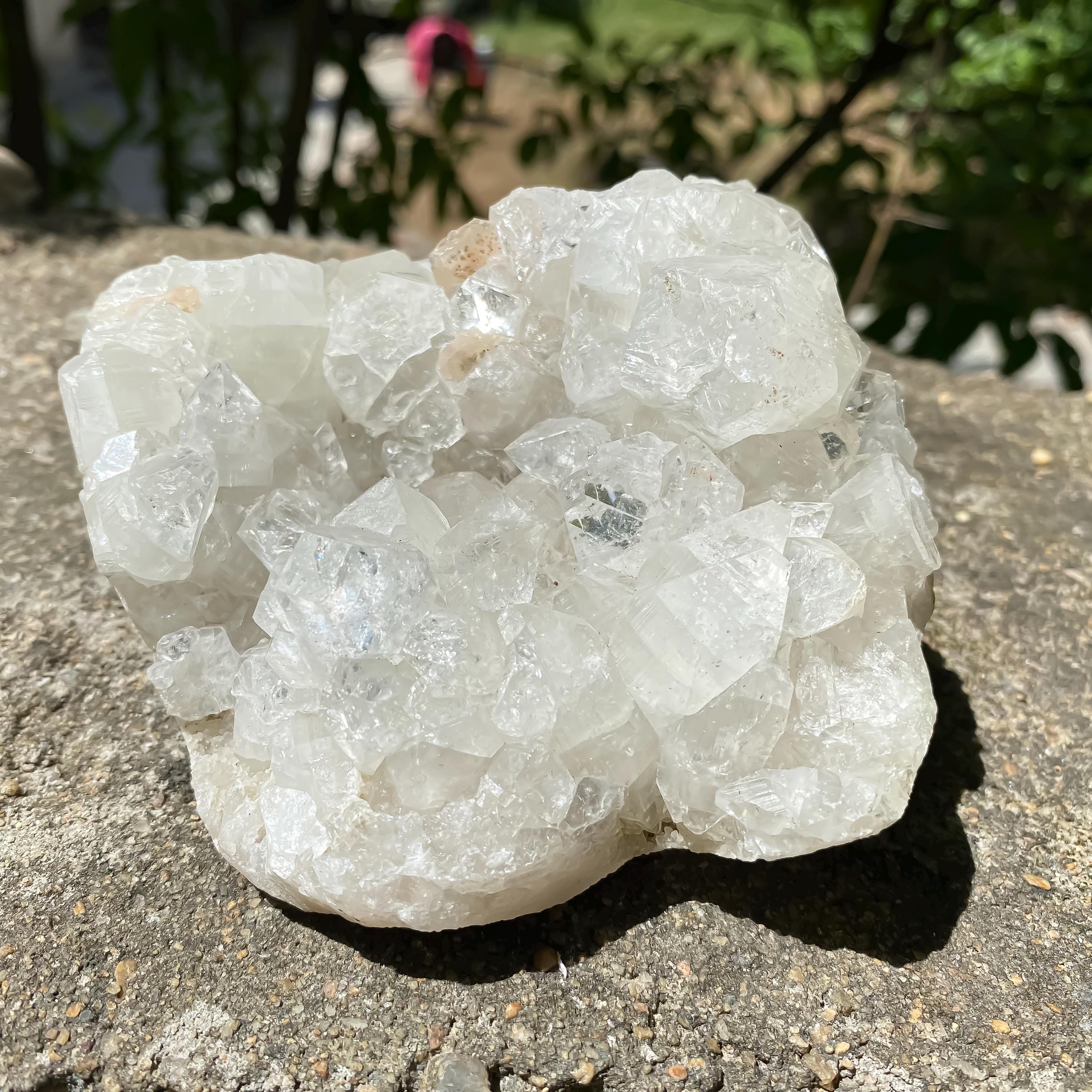 White Apophyllite Crystal Cluster: Healing Stone Home Decor 640gm