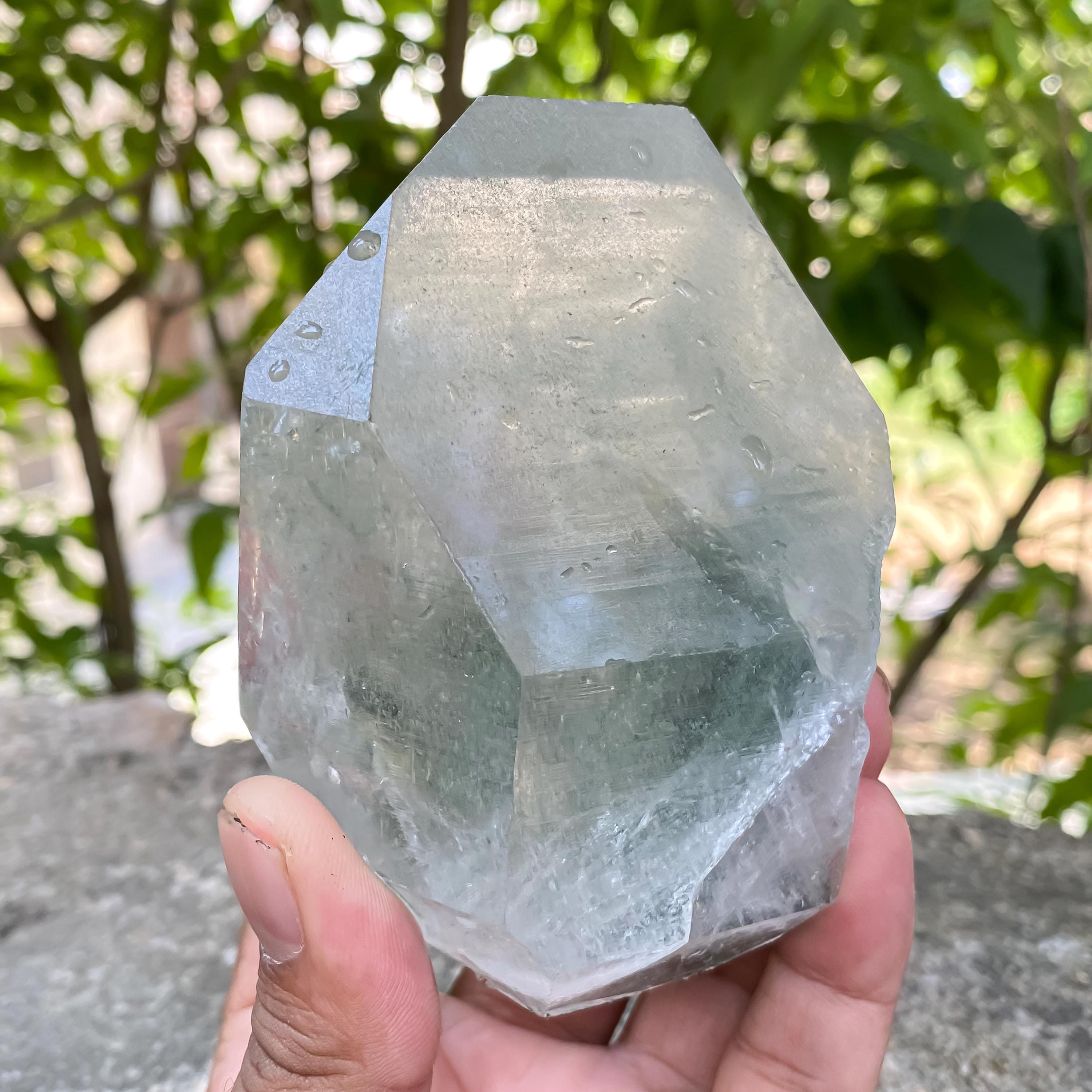 Green Chlorite Quartz Crystal Rough 515gm Natural Chlorite in Quartz