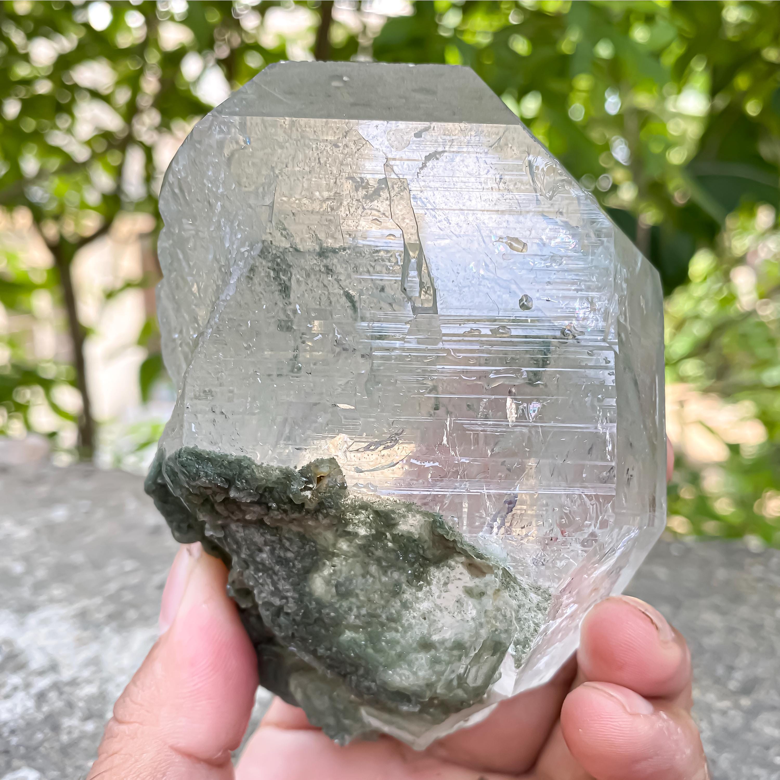 Green Chlorite Quartz Crystal Rough 515gm Natural Chlorite in Quartz