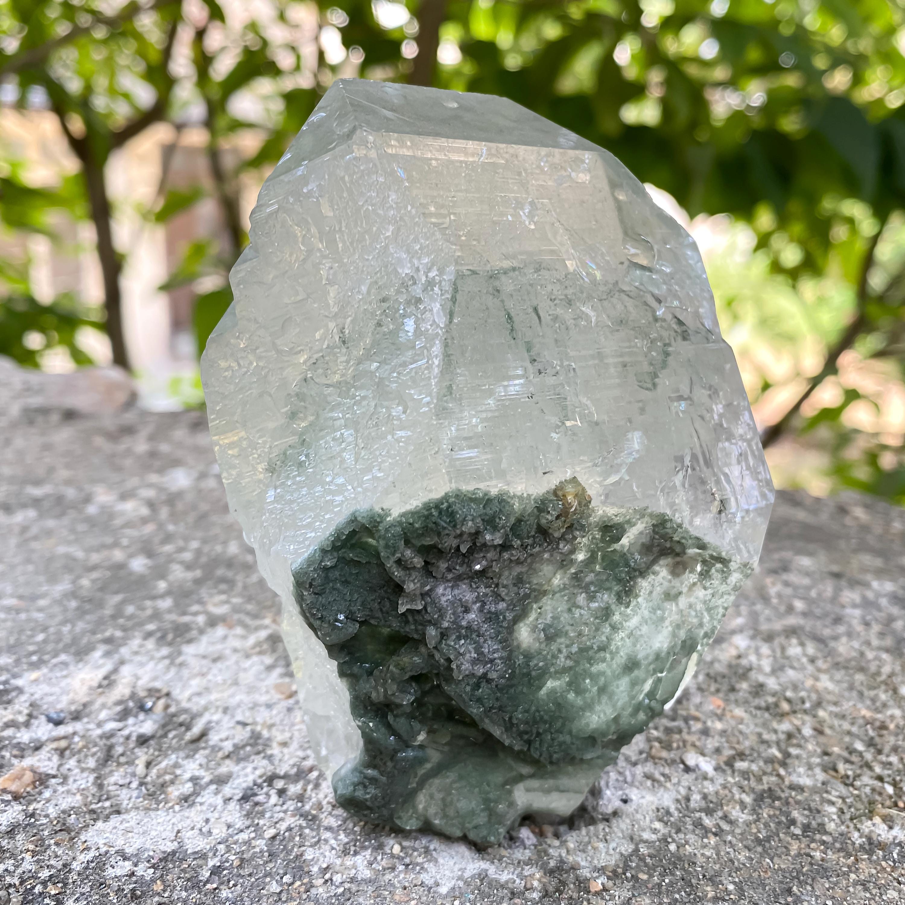 Green Chlorite Quartz Crystal Rough 515gm Natural Chlorite in Quartz
