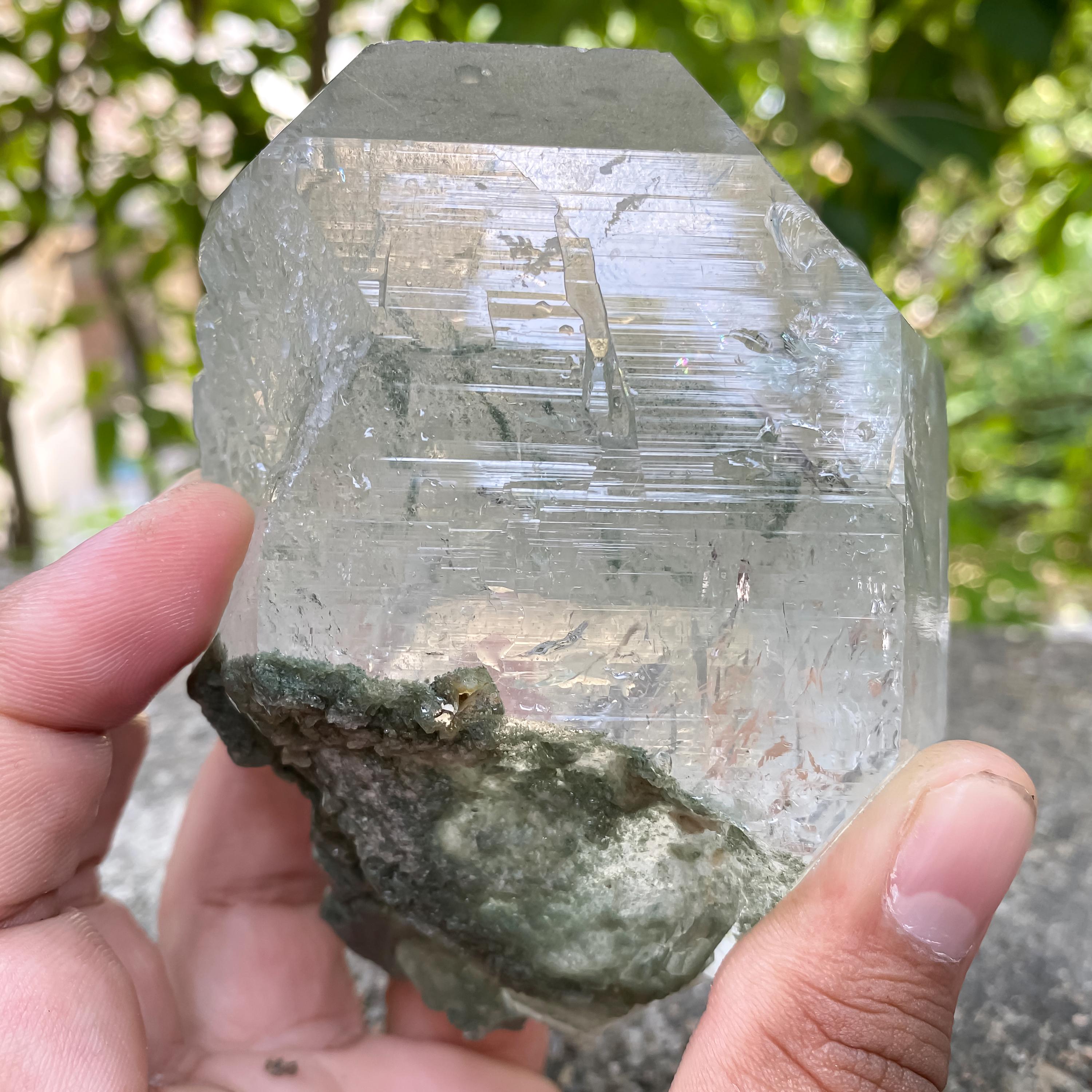 Green Chlorite Quartz Crystal Rough 515gm Natural Chlorite in Quartz