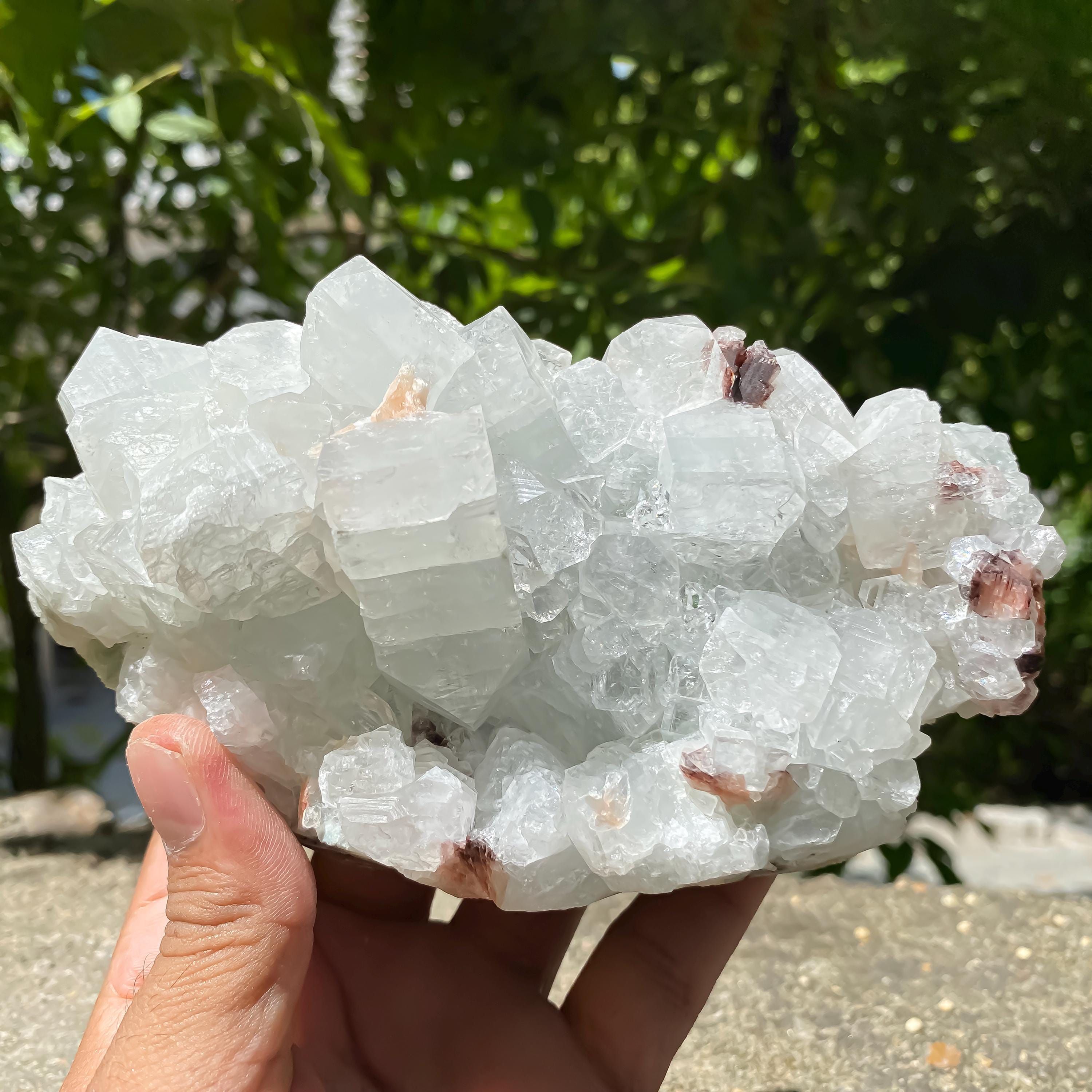 Apophyllite Crystal Cluster with Stilbite  Natural Zeolite Mineral for Healing, Meditation, Home Decor