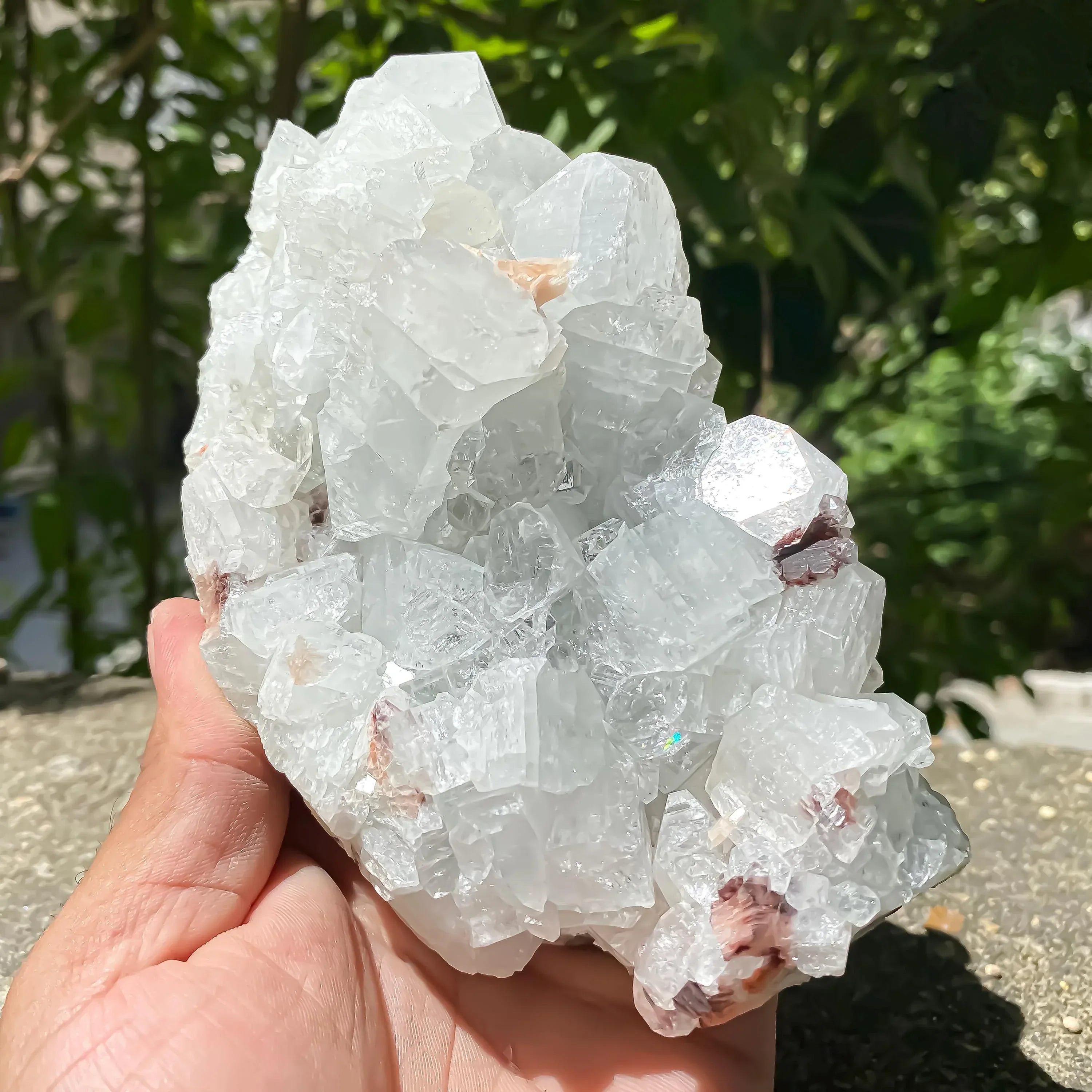 Apophyllite Crystal Cluster with Stilbite Natural Zeolite Mineral for Healing, Meditation, Home Decor Zeolite