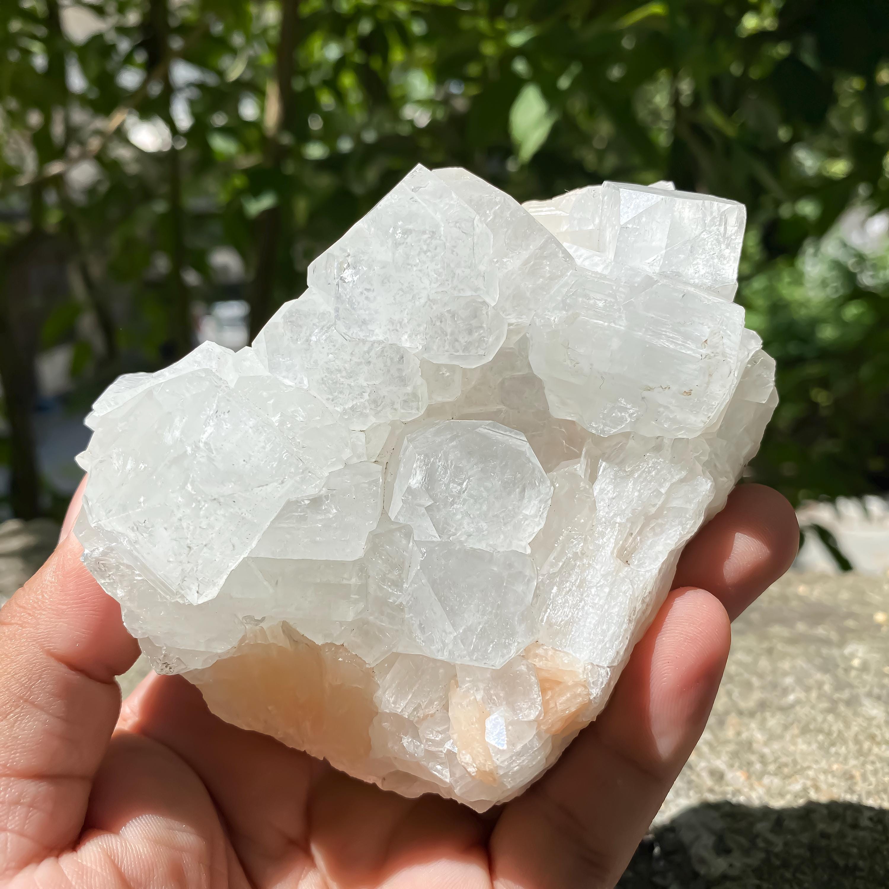 Natural Apophyllite with Stilbite Crystal Cluster  Natural Zeolite Mineral from India 365gm