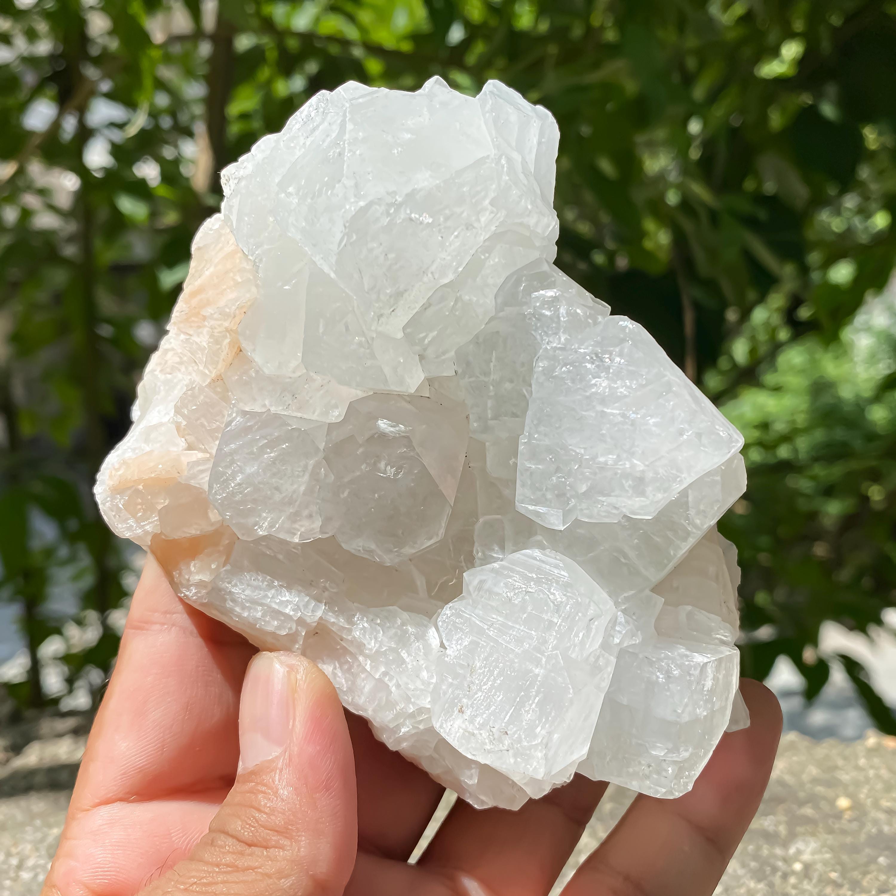 Natural Apophyllite with Stilbite Crystal Cluster  Natural Zeolite Mineral from India 365gm