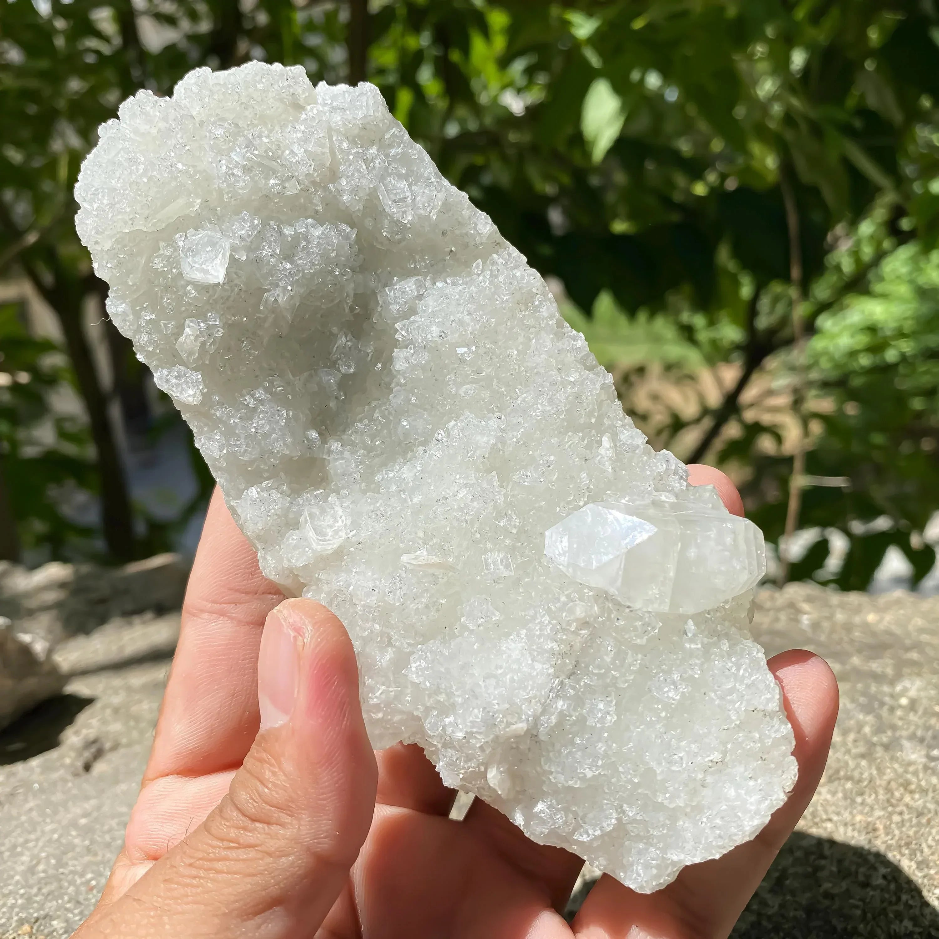 Apophyllite Zeolite Cluster: Natural Healing Stone 275gm Zeolite
