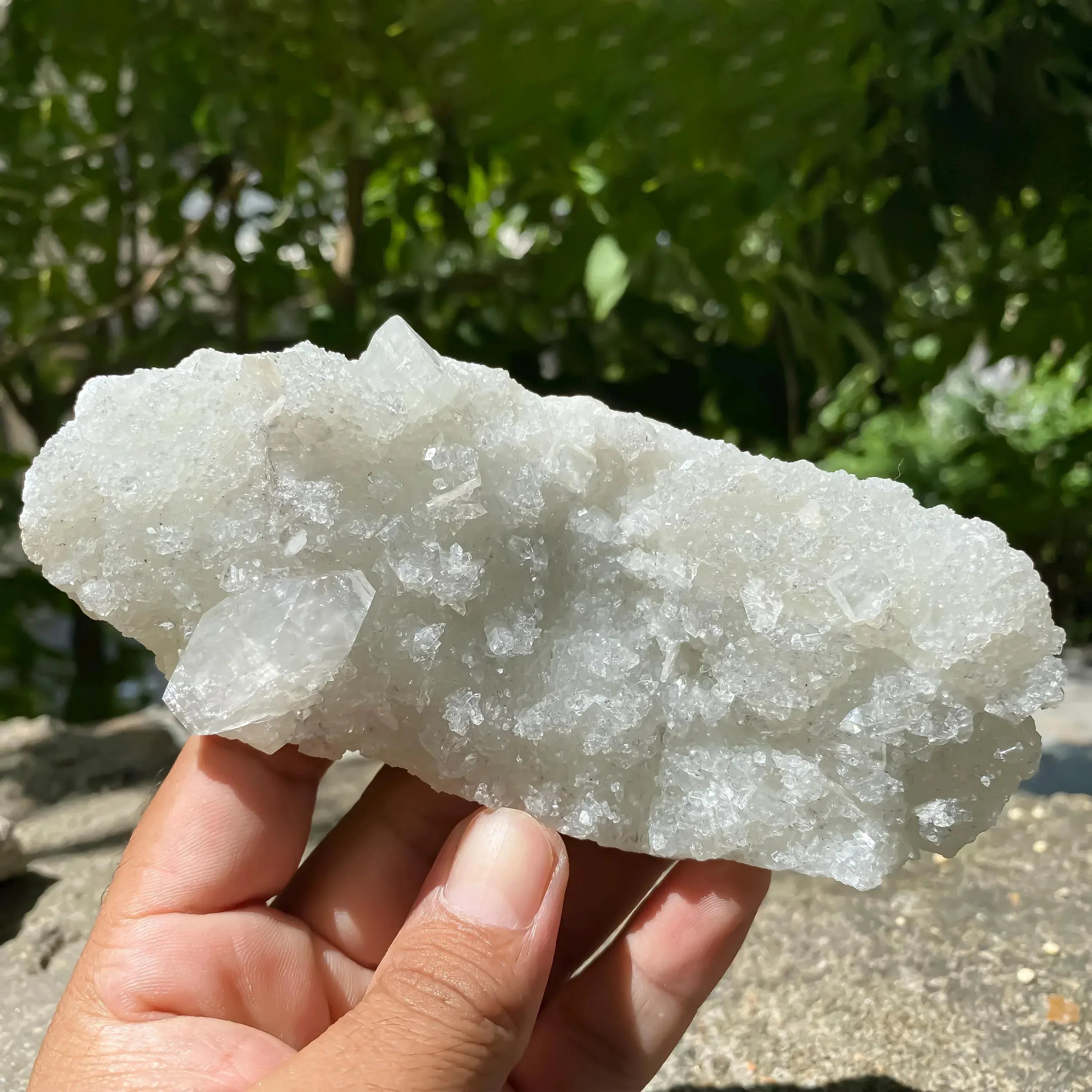 Apophyllite Zeolite Cluster: Natural Healing Stone 275gm Zeolite